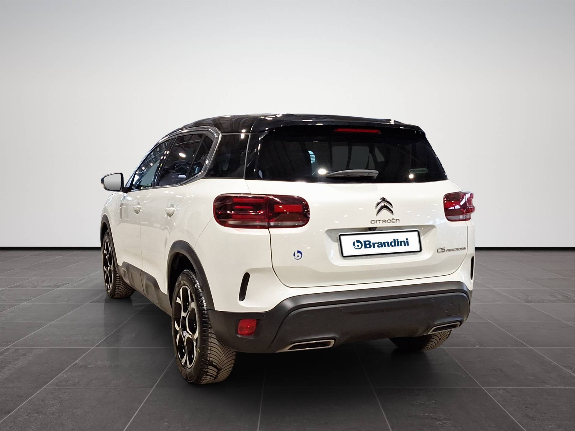 CITROEN C5 Aircross C5 Aircross 1.5 bluehdi Shine s&s 130cv eat8 N1 usata in pronta consegna - Brandini