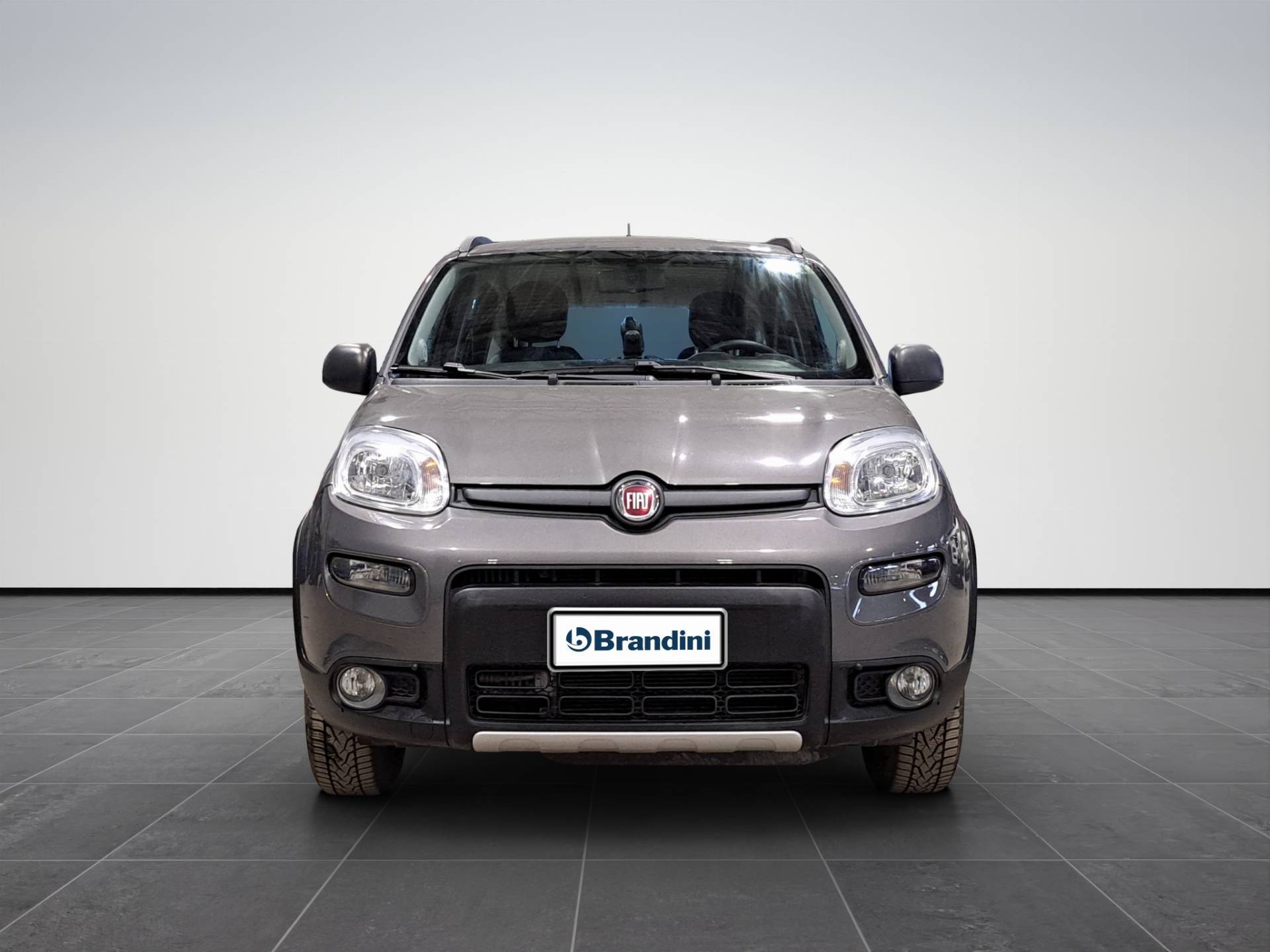 FIAT Panda Panda 0.9 t.air t. Wild 4x4 s&s 85cv usata in pronta consegna - Brandini