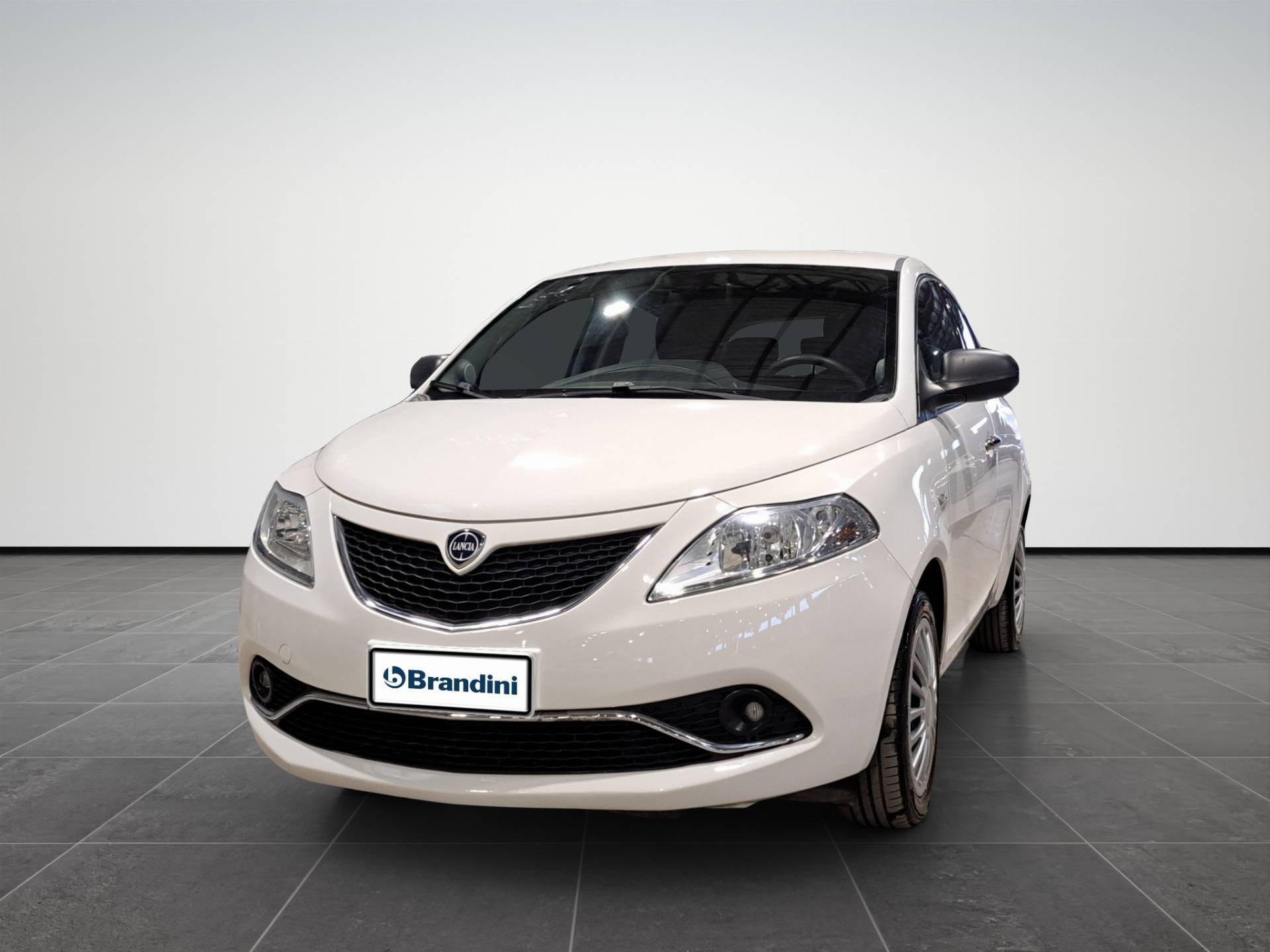 Auto Venduta - LANCIA Ypsilon Ypsilon 1.2 Gold 69cv my16 usata in pronta consegna - Brandini