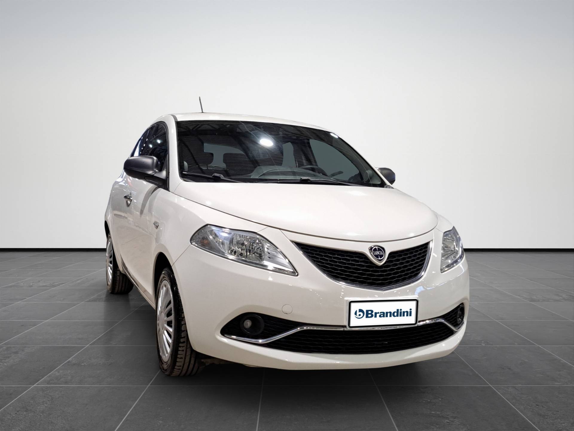 Auto Venduta - LANCIA Ypsilon Ypsilon 1.2 Gold 69cv my16 usata in pronta consegna - Brandini