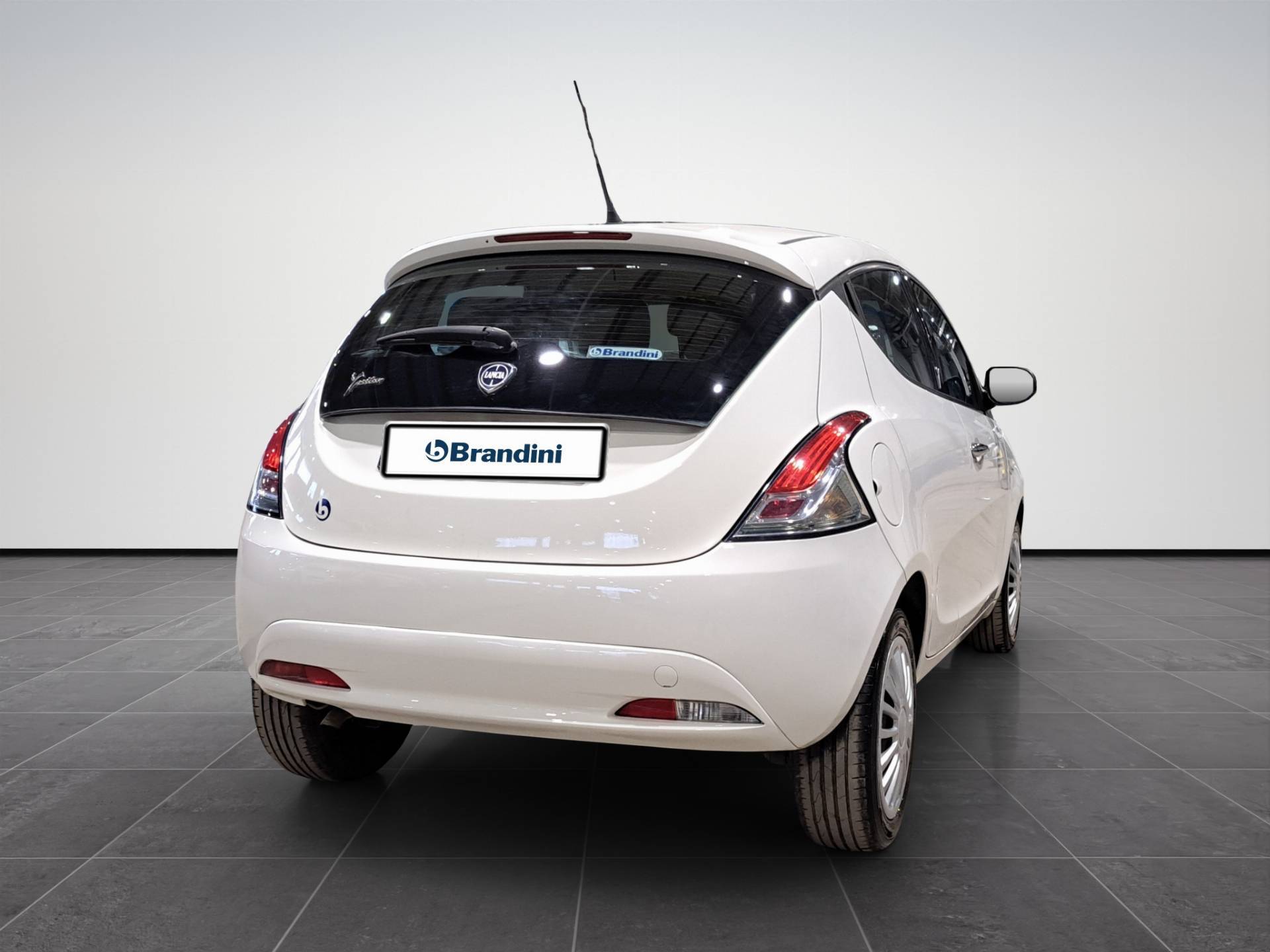 Auto Venduta - LANCIA Ypsilon Ypsilon 1.2 Gold 69cv my16 usata in pronta consegna - Brandini