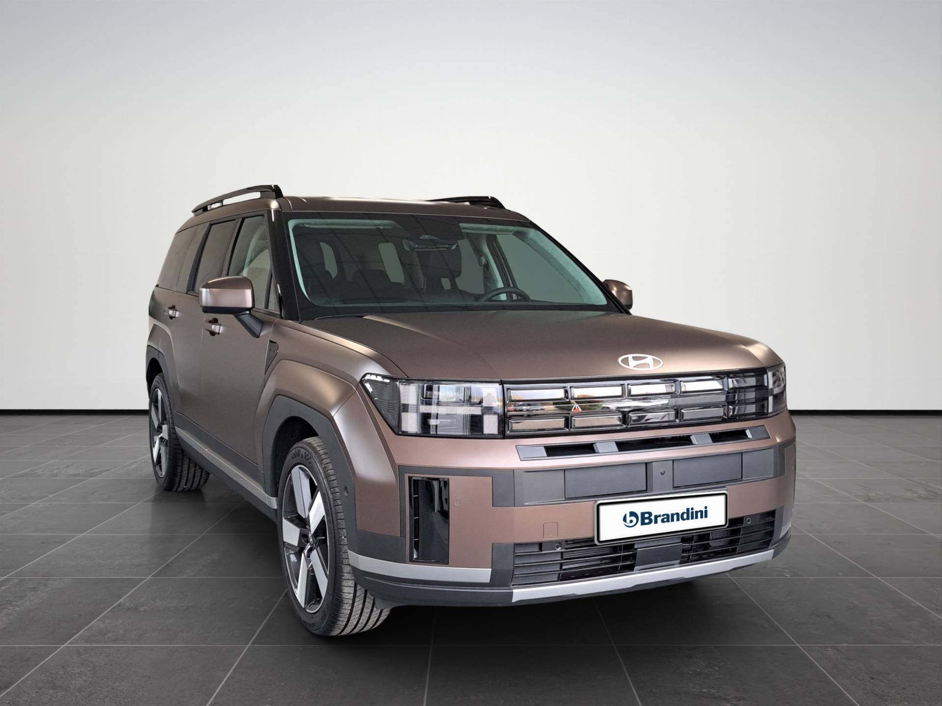 Auto Venduta - HYUNDAI SANTA FE Santa Fe 1.6 t-gdi hev XClass 2wd 215cv at 7p.ti usata in pronta consegna - Brandini