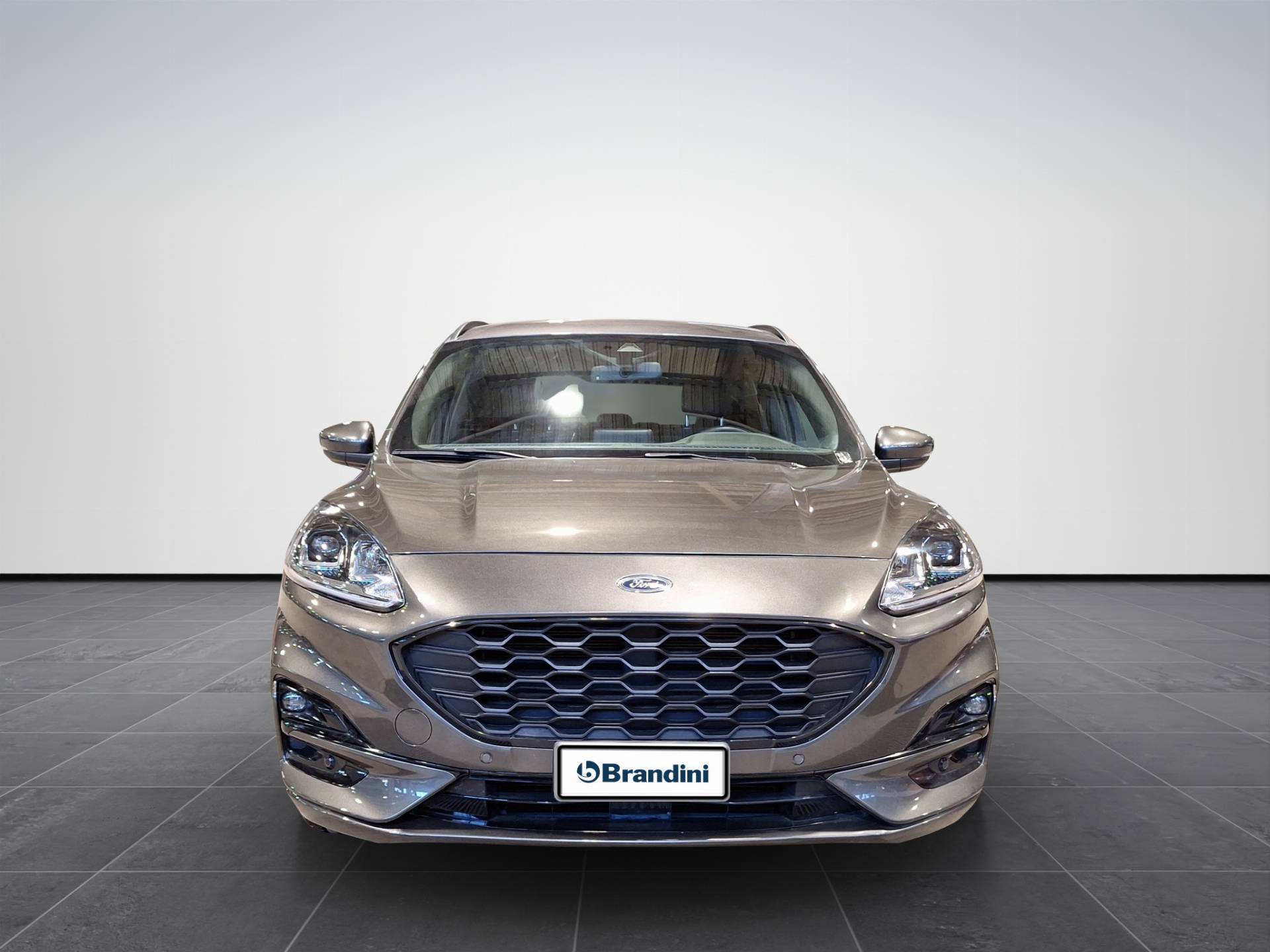 FORD Kuga Kuga 1.5 ecoblue ST-Line 2wd 120cv usata in pronta consegna - Brandini