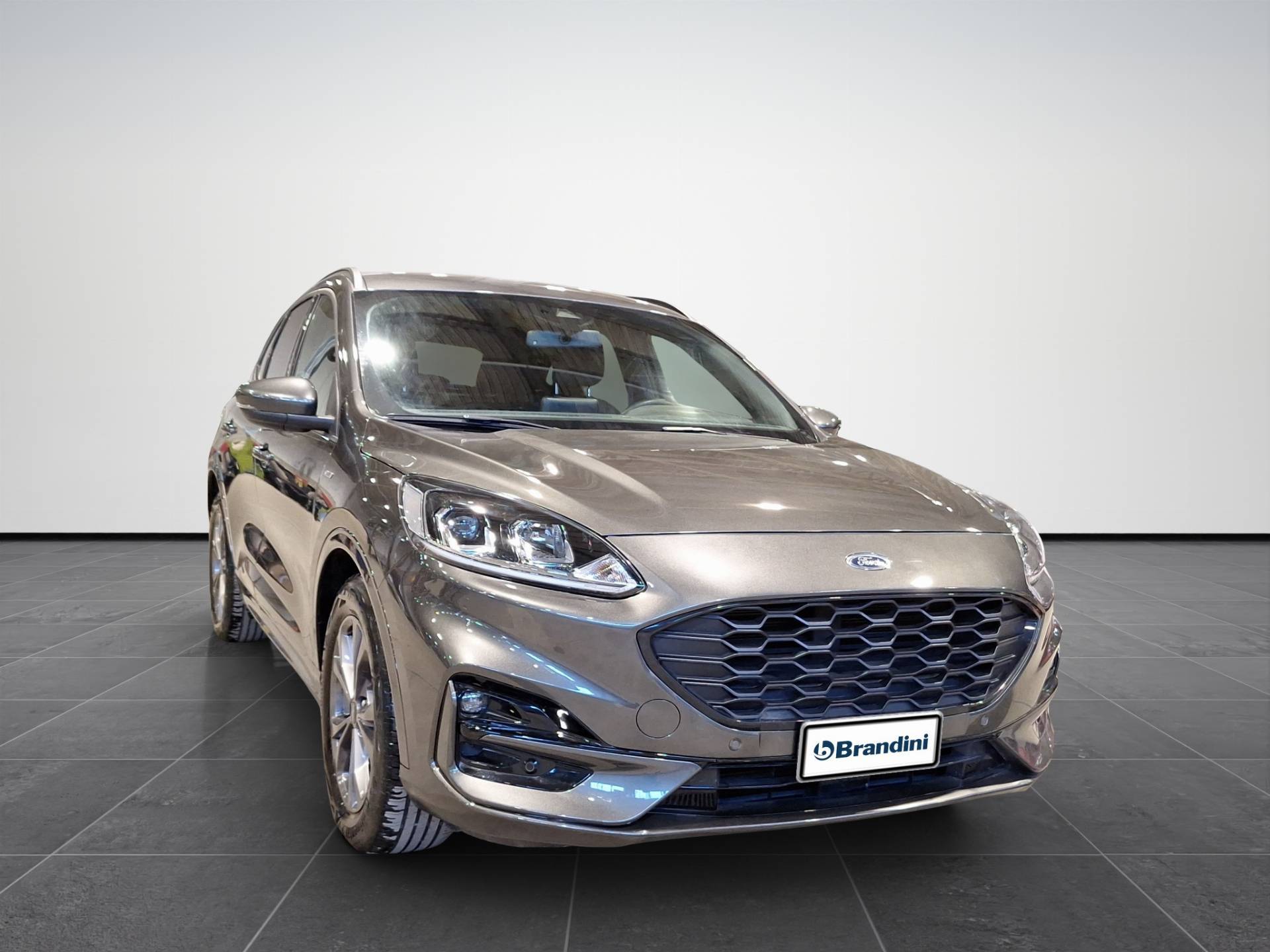 FORD Kuga Kuga 1.5 ecoblue ST-Line 2wd 120cv usata in pronta consegna - Brandini