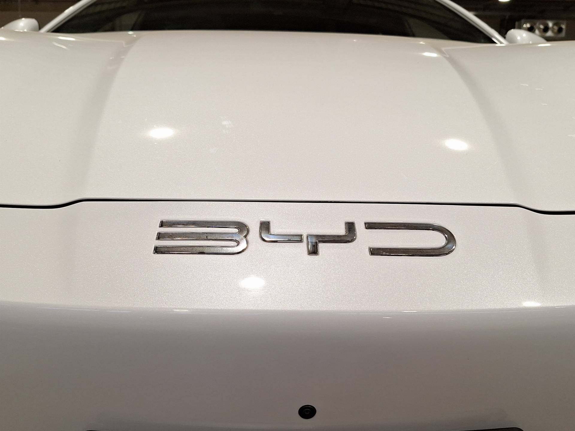 Auto Venduta - BYD Seal Seal 82,5 kWh Excellence awd usata in pronta consegna - Brandini