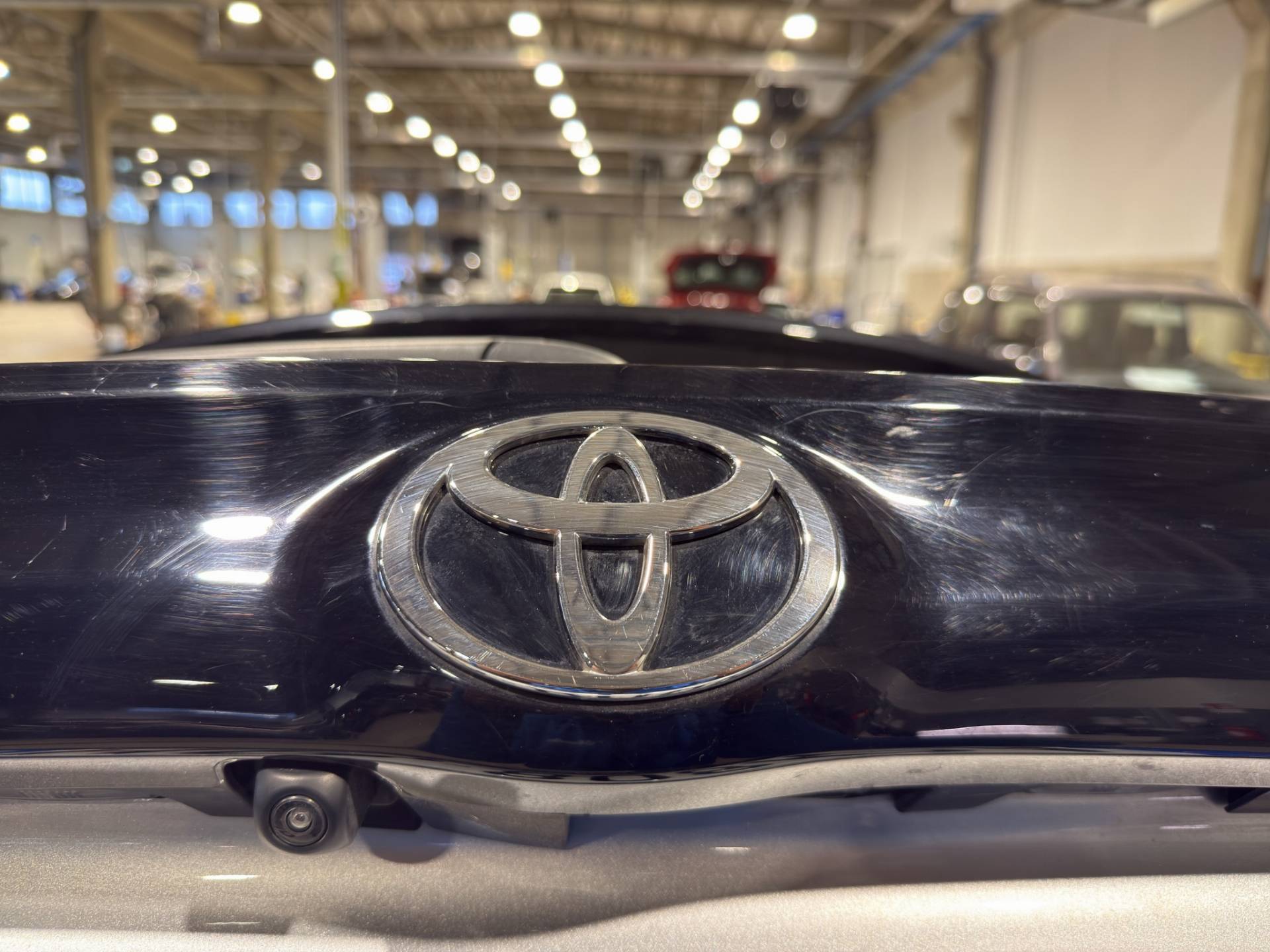 Auto Venduta - TOYOTA Yaris Yaris 1.5h Trend usata in pronta consegna - Brandini