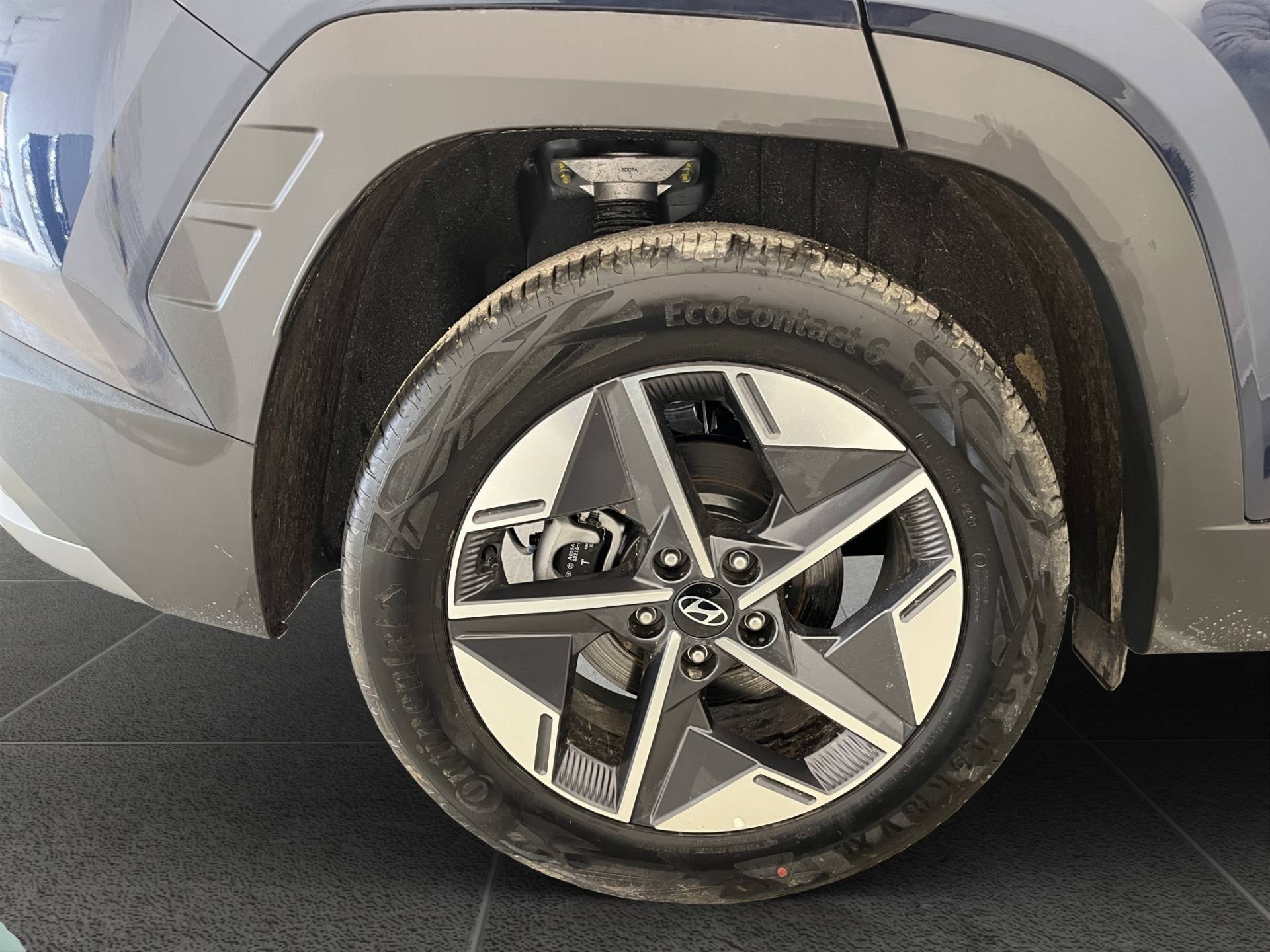 Auto Venduta - HYUNDAI Tucson Tucson 1.6 t-gdi 48V Business 2wd mt usata in pronta consegna - Brandini