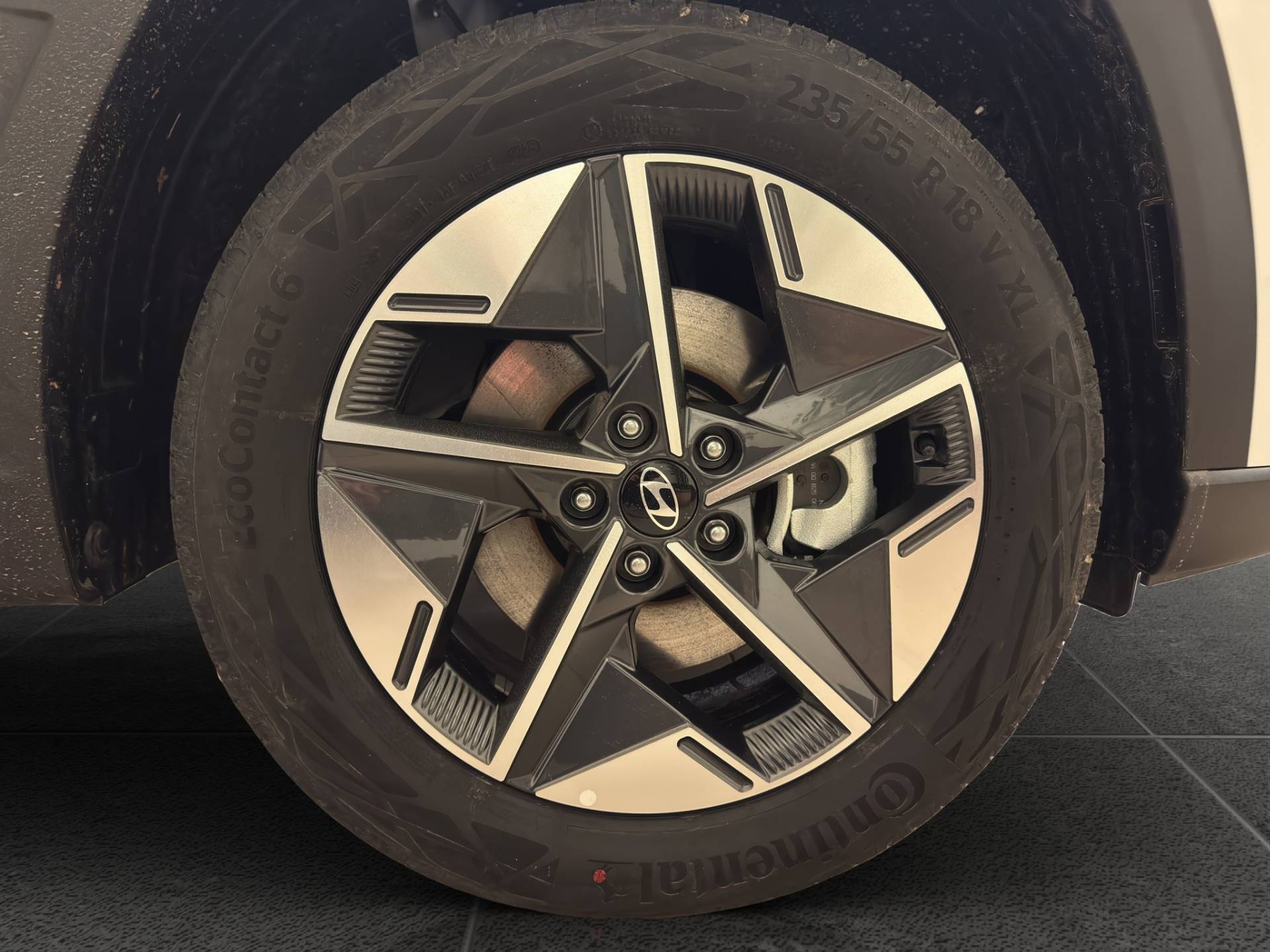 HYUNDAI Tucson Tucson 1.6 hev Business 2wd 239cv auto usata in pronta consegna - Brandini