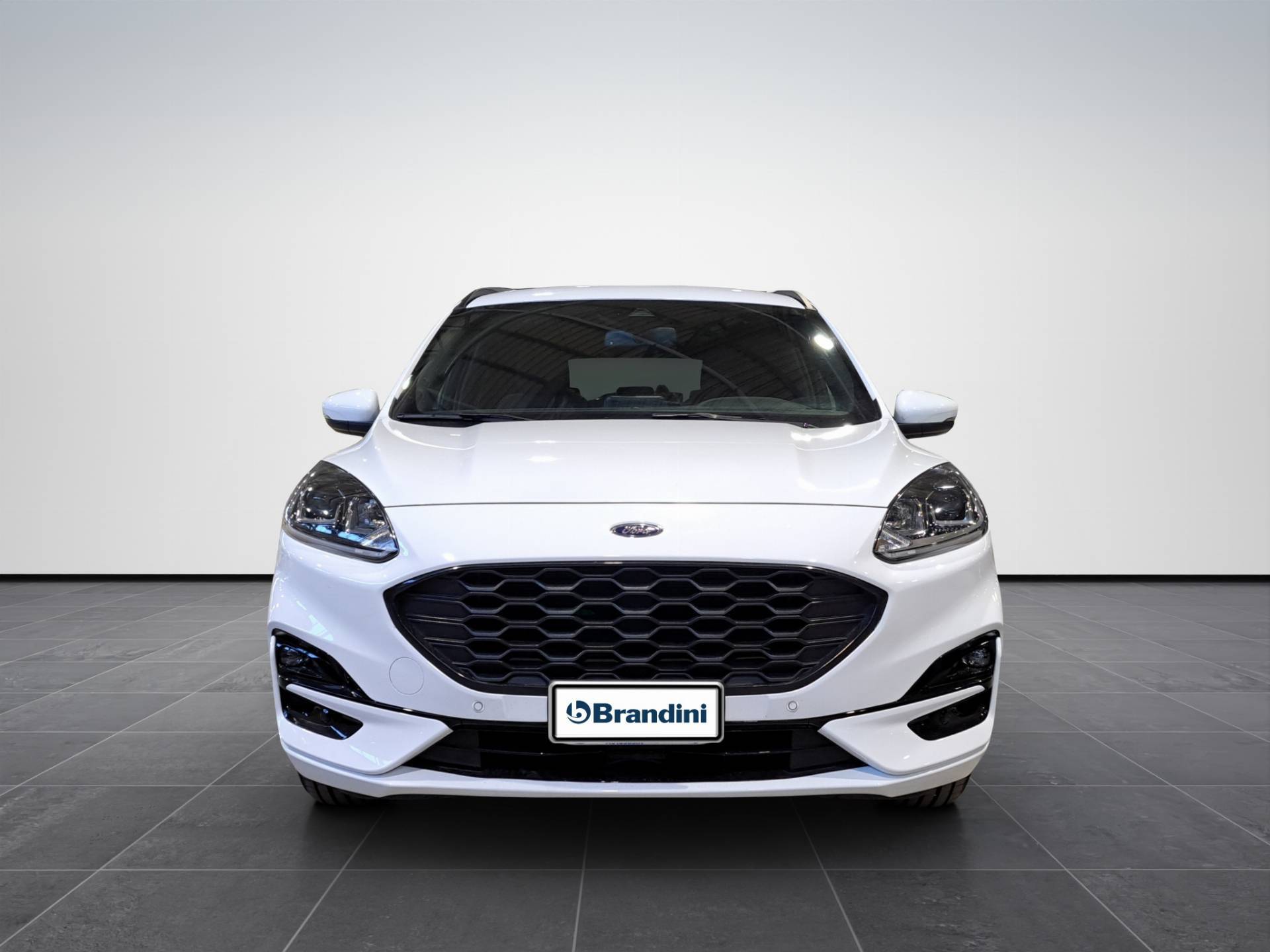 FORD Kuga Kuga 2.5 full hybrid ST-line X 2wd 190cv e-shifter usata in pronta consegna - Brandini