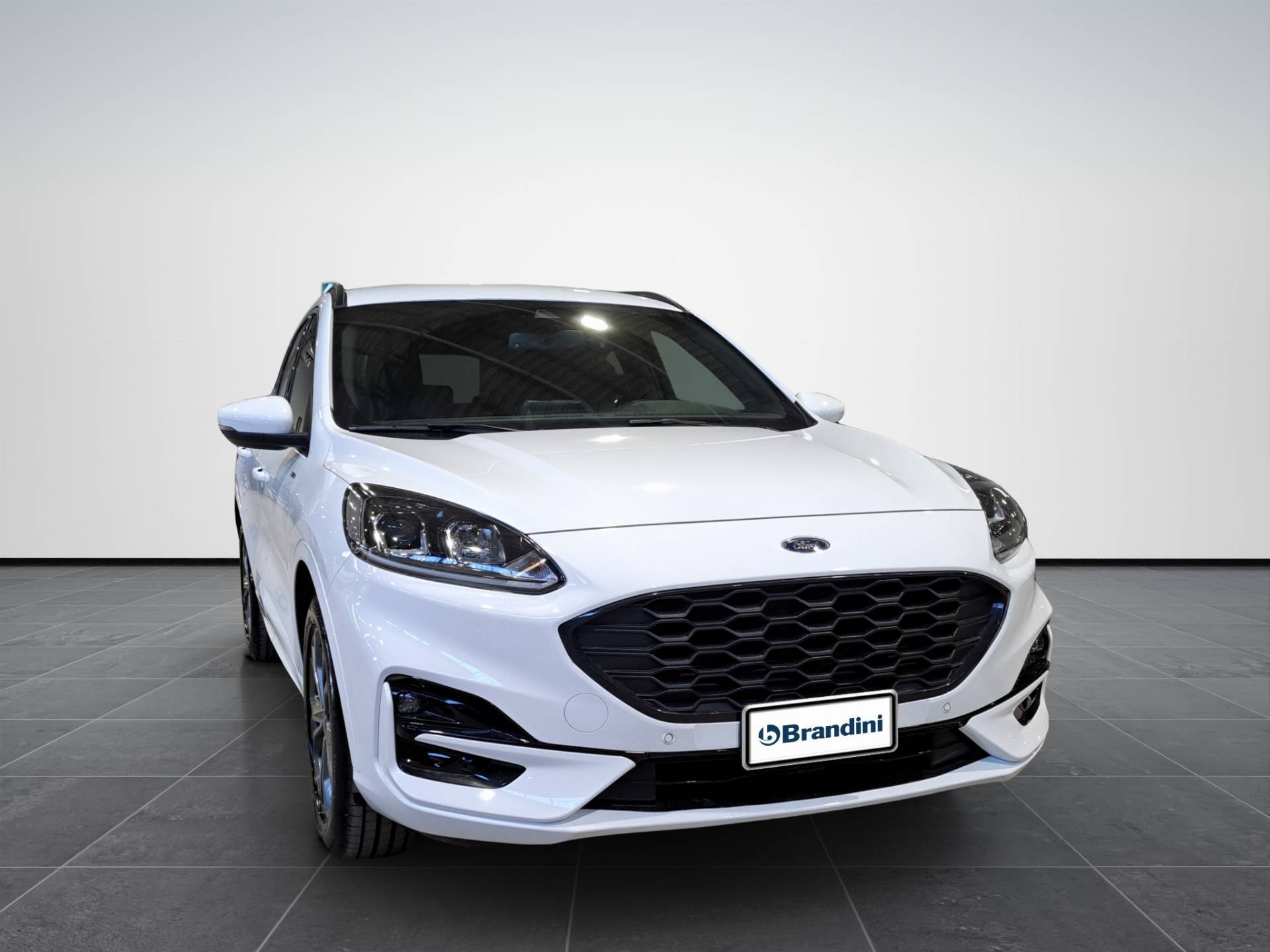 FORD Kuga Kuga 2.5 full hybrid ST-line X 2wd 190cv e-shifter usata in pronta consegna - Brandini