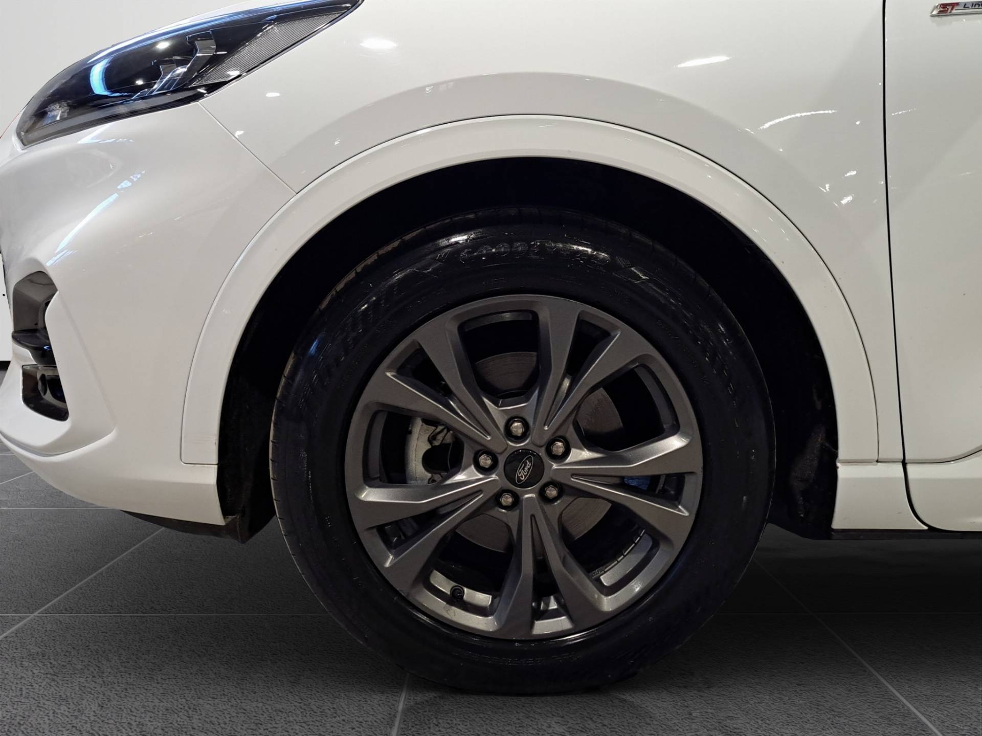 FORD Kuga Kuga 2.5 full hybrid ST-line X 2wd 190cv e-shifter usata in pronta consegna - Brandini