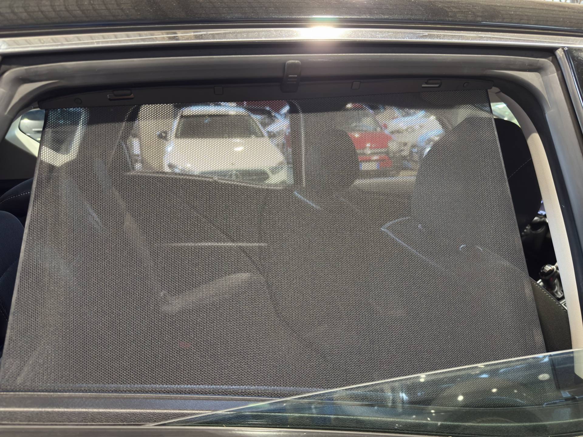 RENAULT Scenic Scenic 1.5 dci energy Business 110cv usata in pronta consegna - Brandini