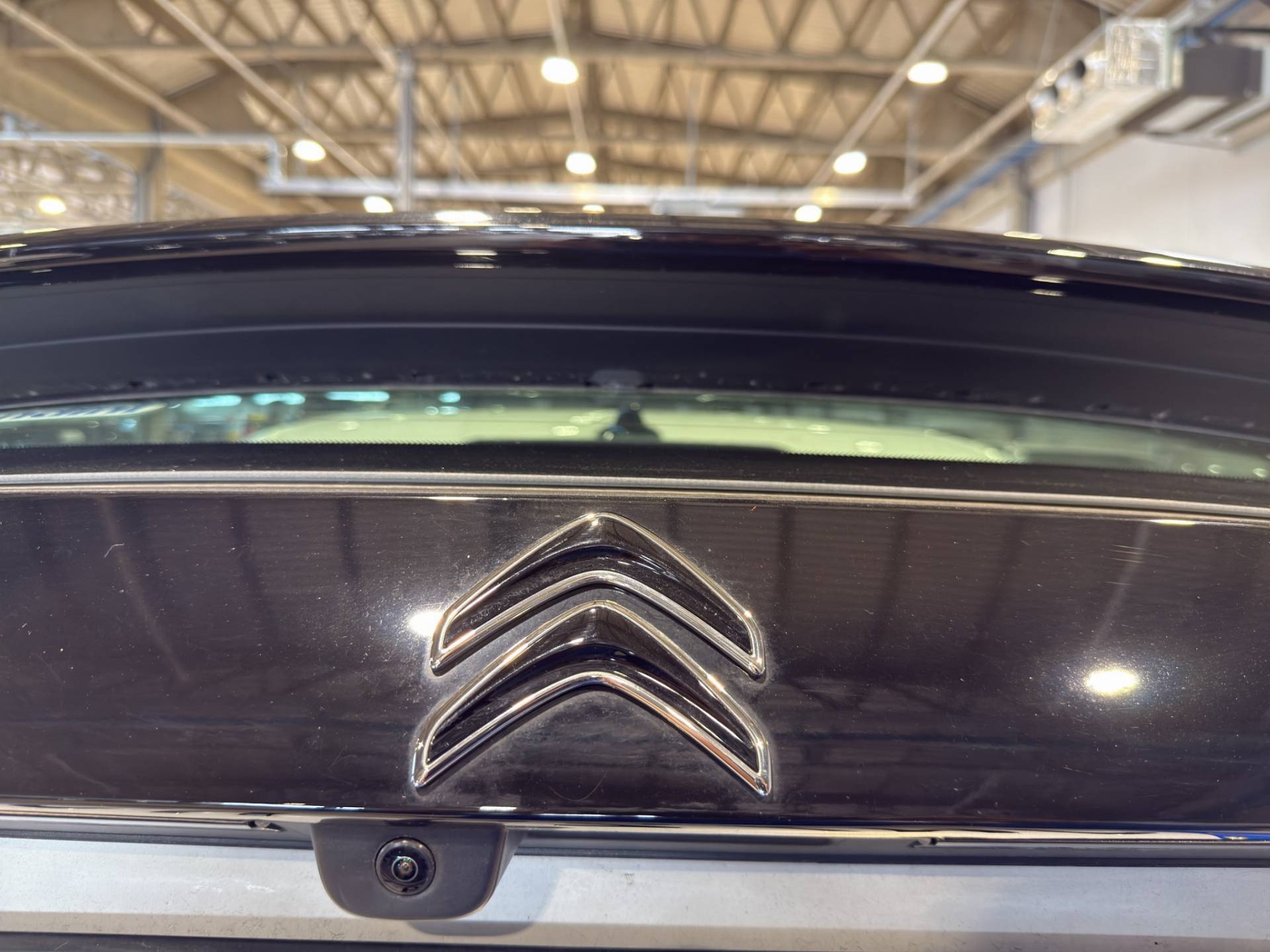 Auto Venduta - CITROEN C4 C4 1.2 puretech Plus s&s 130cv usata in pronta consegna - Brandini