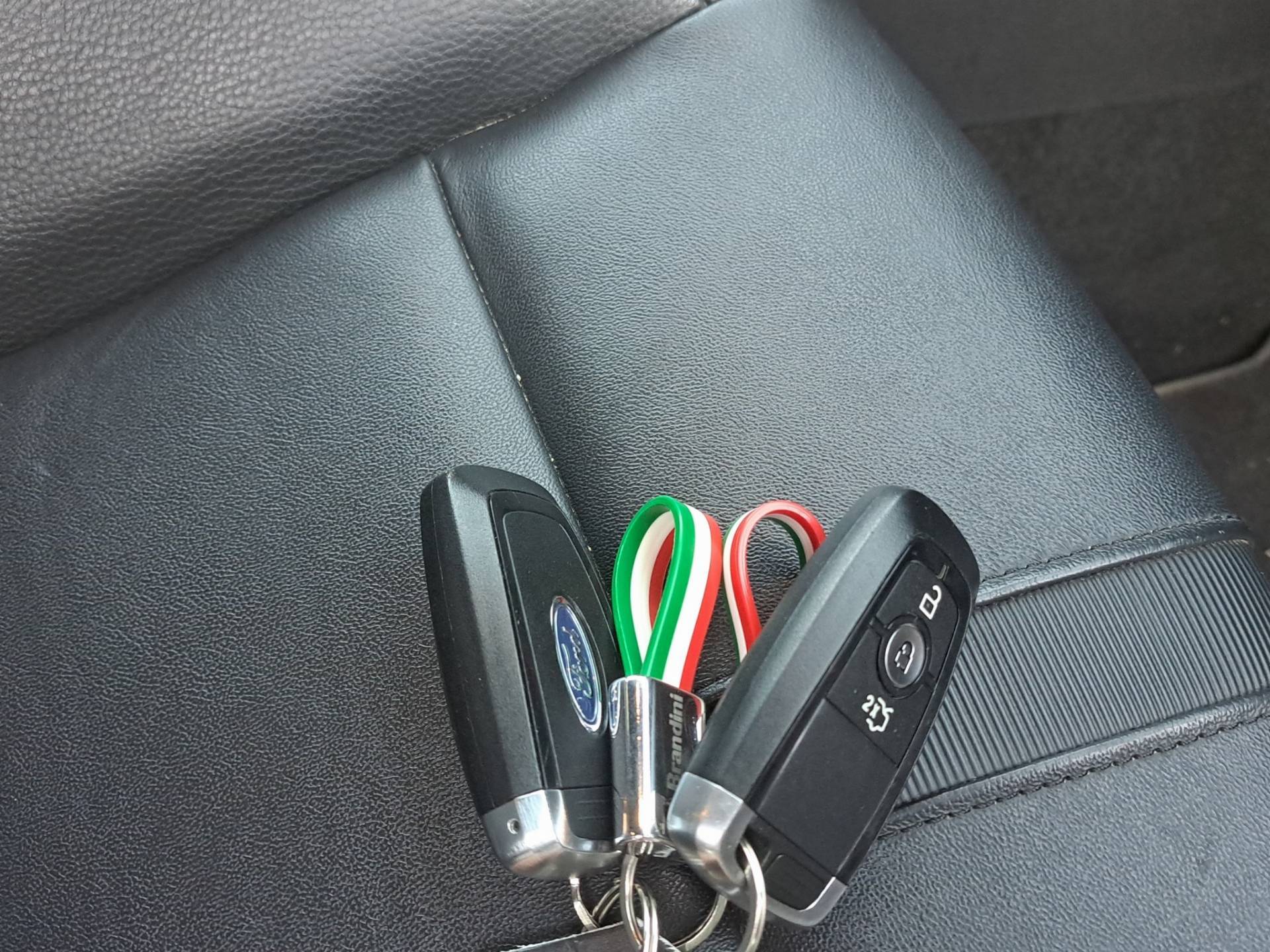 FORD Ranger Ranger Doppia Cabina 2.0 EcoBlue 205cv Wildtrak AWD Auto usata in pronta consegna - Brandini