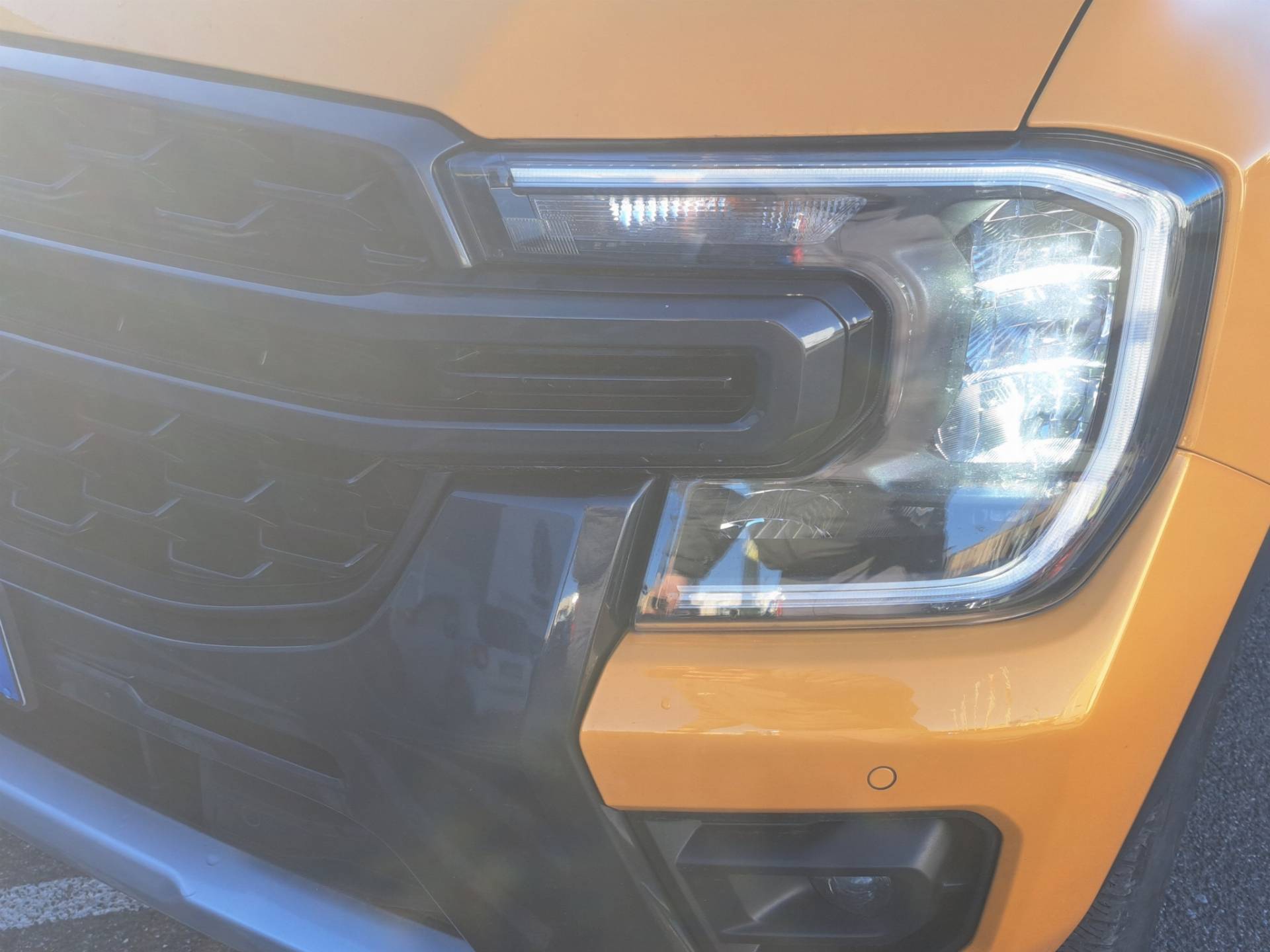 FORD Ranger Ranger Doppia Cabina 2.0 EcoBlue 205cv Wildtrak AWD Auto usata in pronta consegna - Brandini