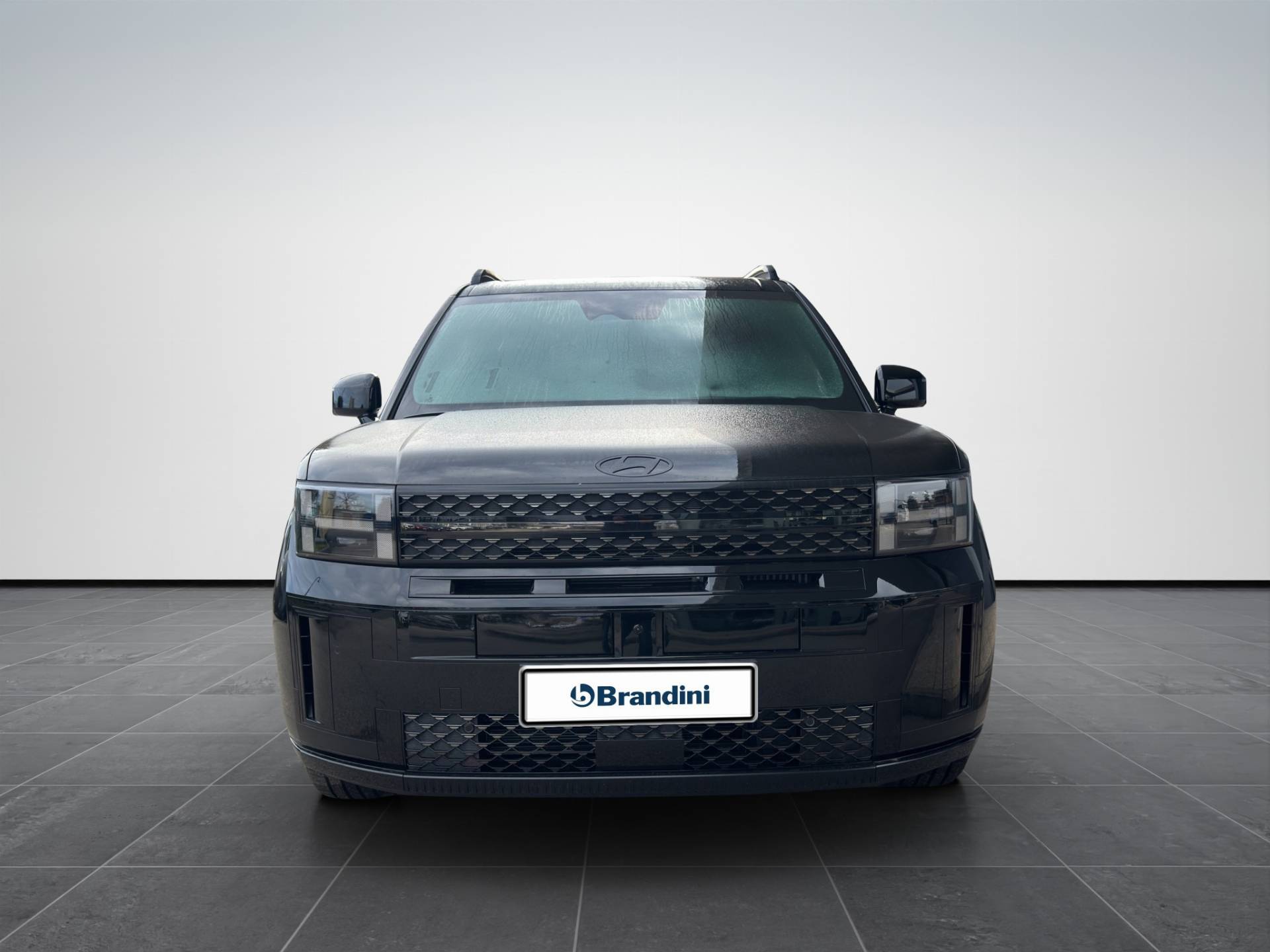 HYUNDAI SANTA FE Santa Fe 1.6 t-gdi phev XClass Calligraphy Pack 4wd 7p.ti at usata in pronta consegna - Brandini