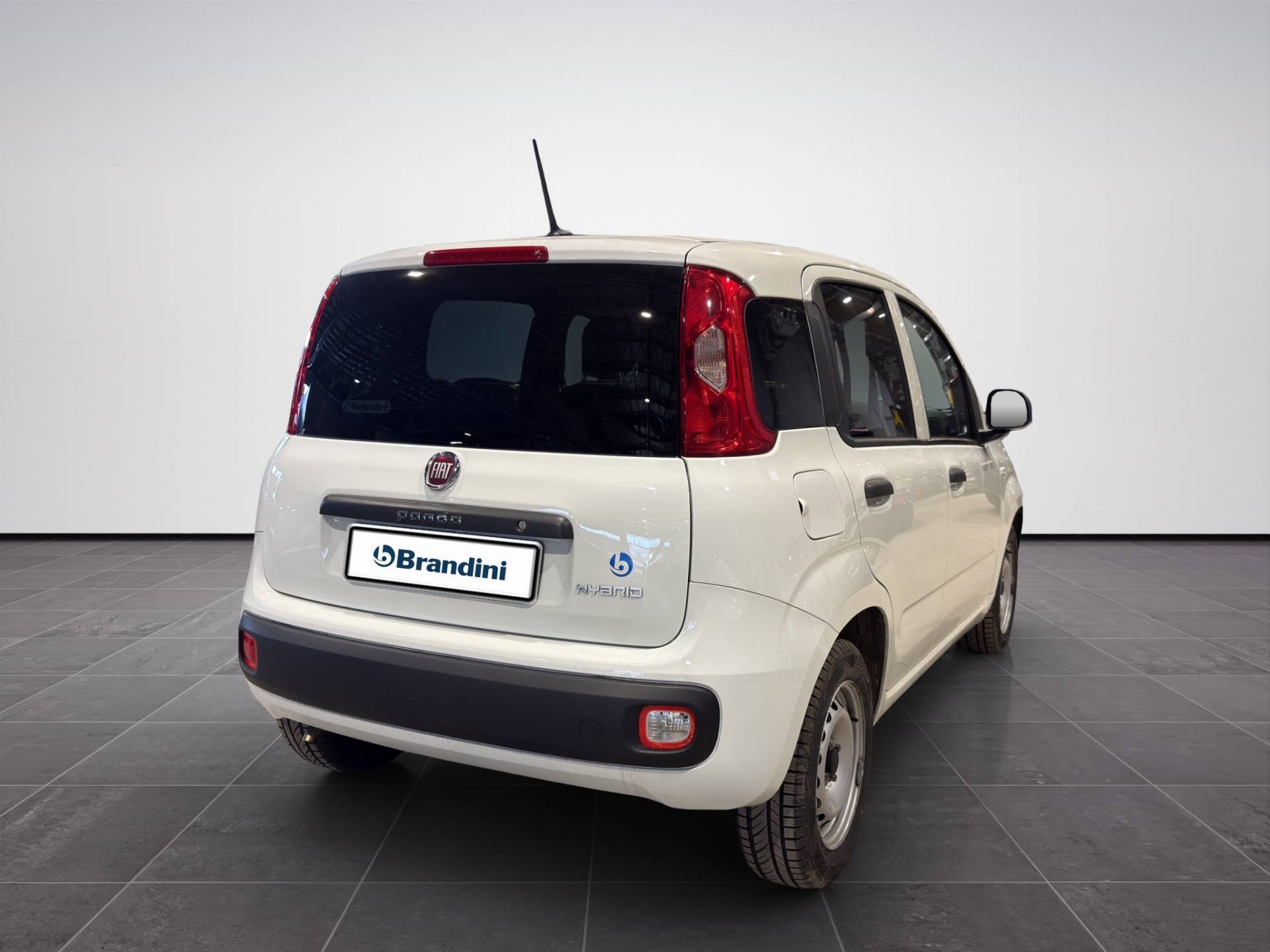 Auto Venduta - FIAT Panda panda van 1.0 hybrid Pop 70cv 2p.ti serie 4 E6d usata in pronta consegna - Brandini