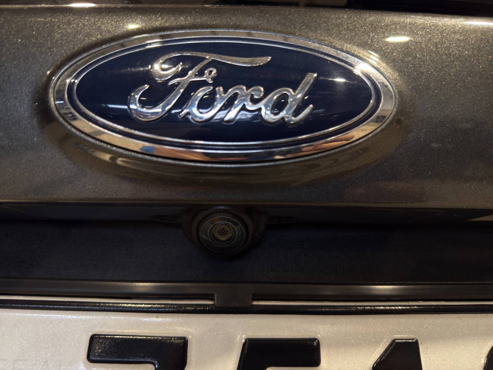 FORD Kuga Kuga 2.0 tdci ST-line s&s 2wd 120cv powershift my19.25 usata in pronta consegna - Brandini