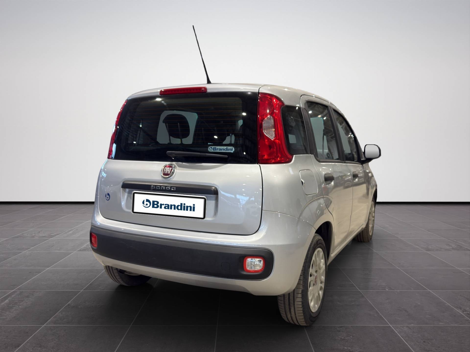 FIAT Panda Panda 1.2 Easy s&s 69cv my19 usata in pronta consegna - Brandini