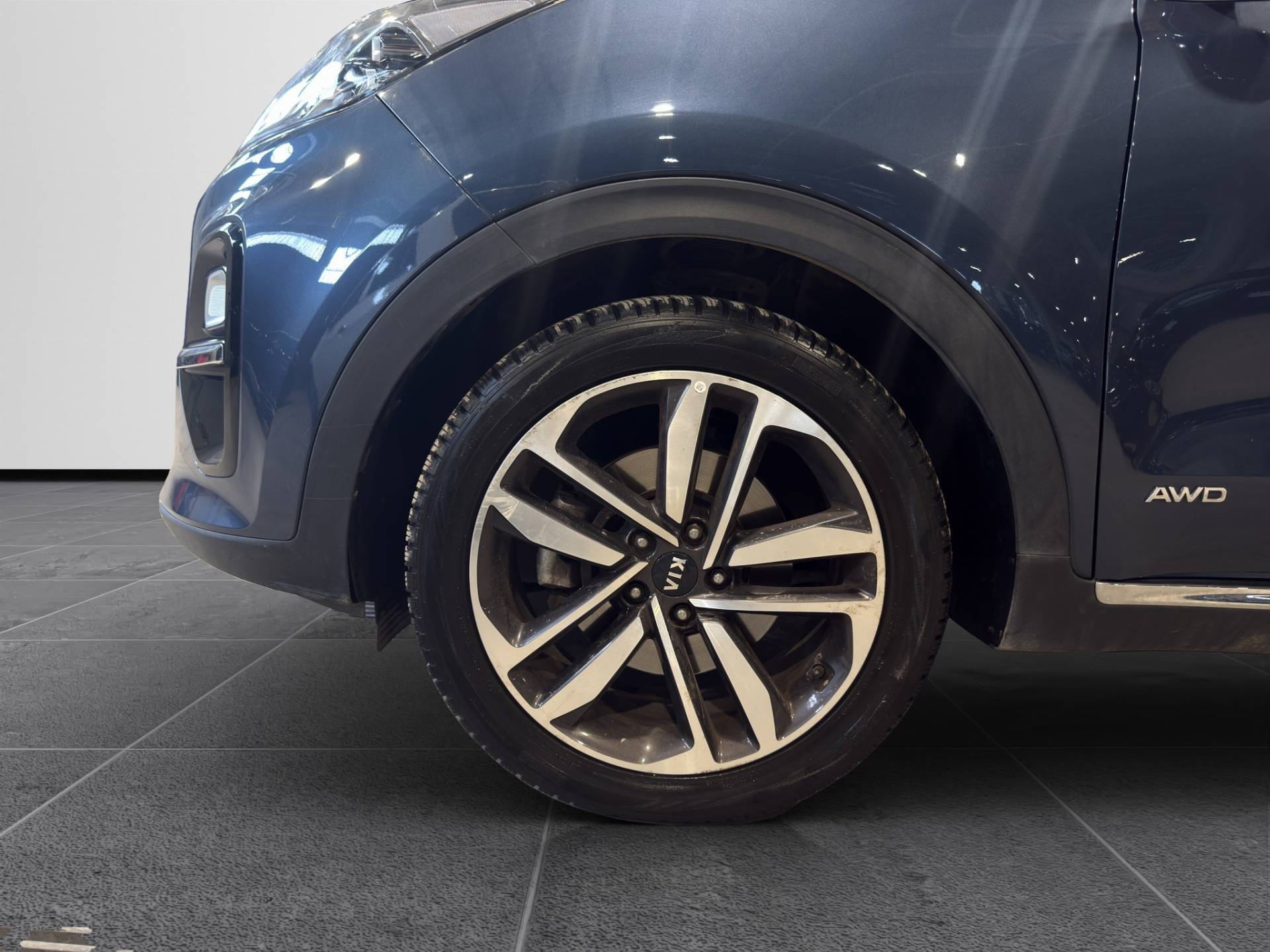 KIA Sportage Sportage 1.6 crdi mhev Energy awd 136cv dct7 usata in pronta consegna - Brandini