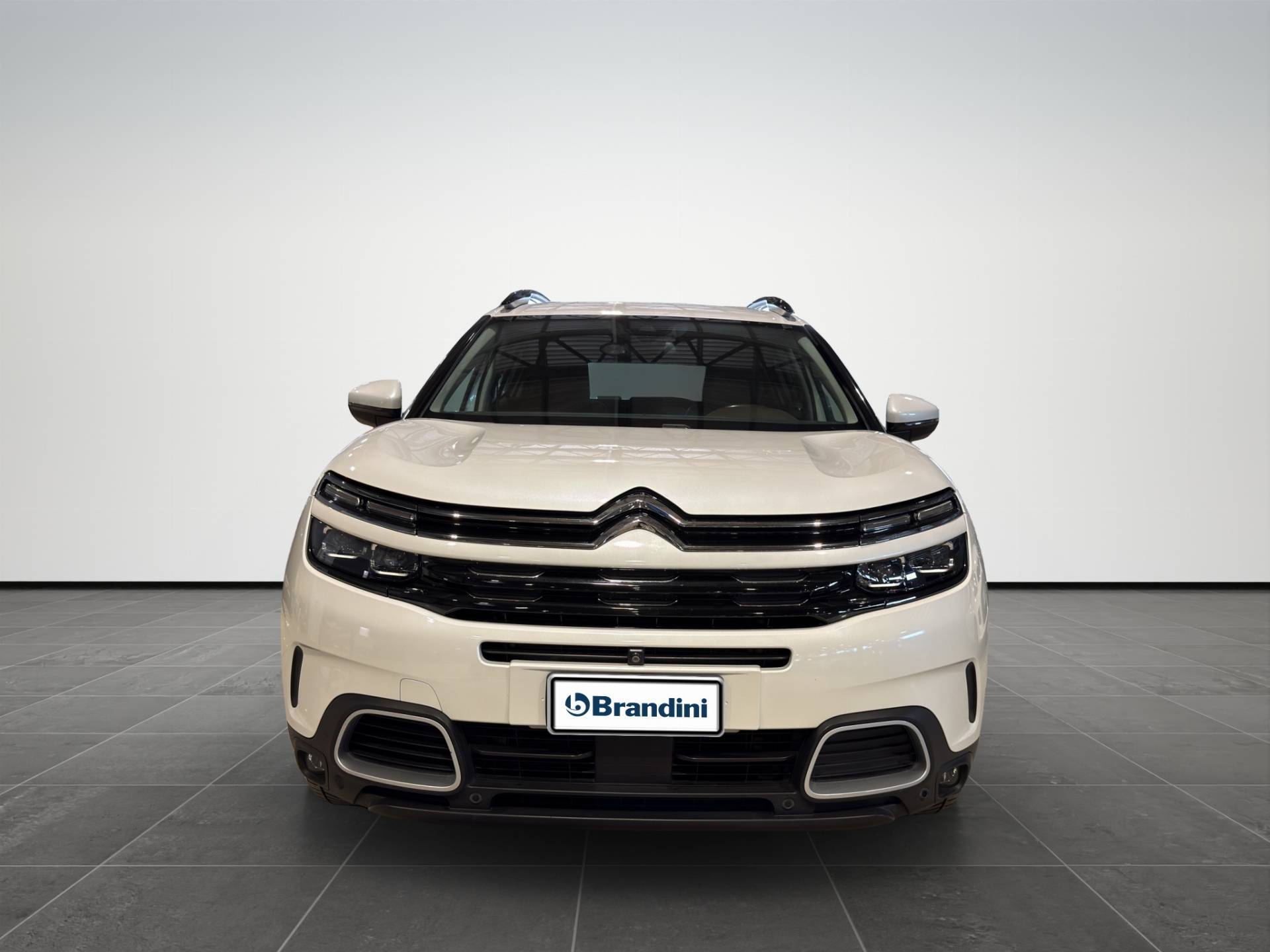 CITROEN C5 Aircross C5 Aircross 2.0 bluehdi Shine s&s 180cv eat8 my19 usata in pronta consegna - Brandini