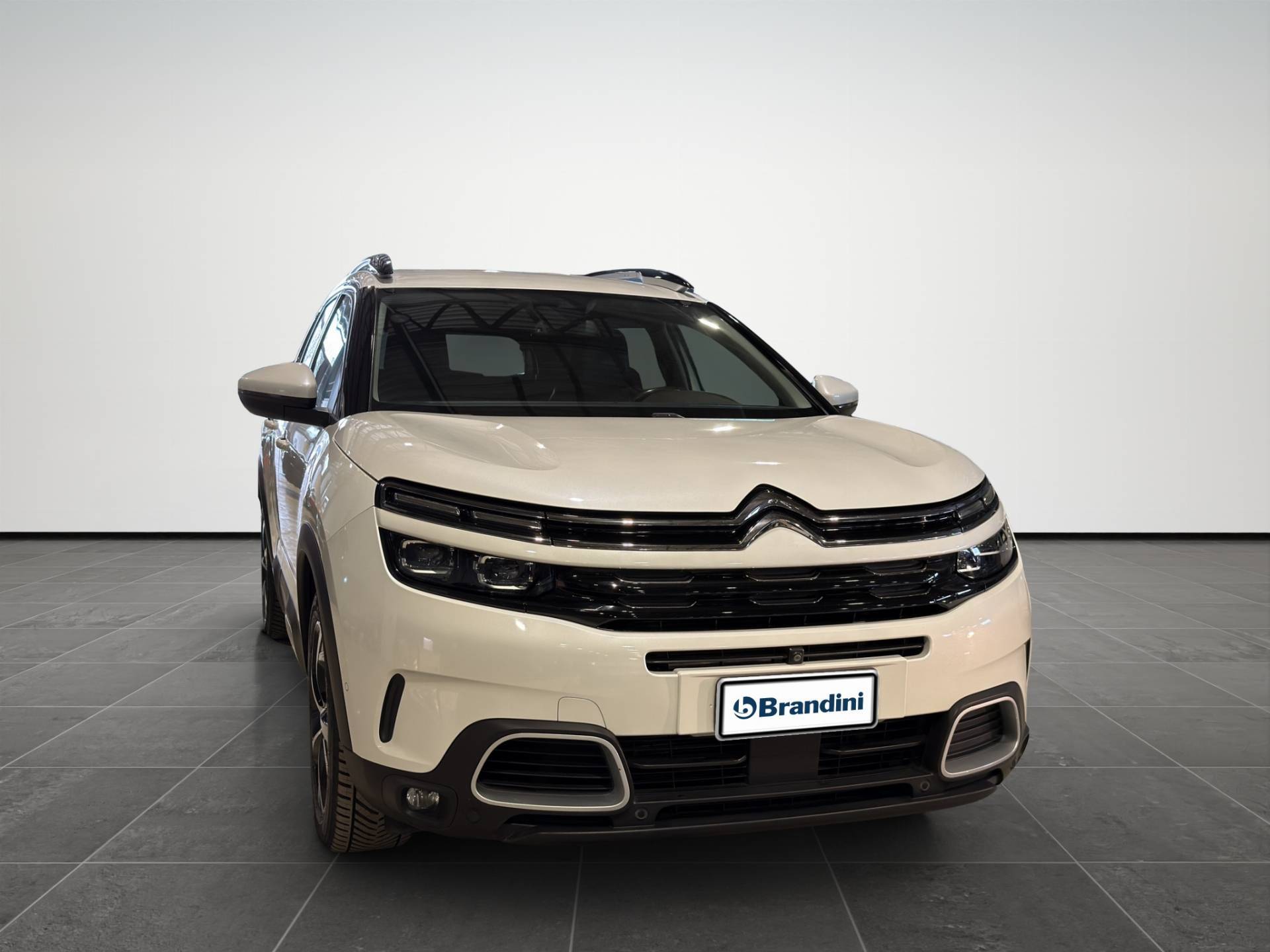 CITROEN C5 Aircross C5 Aircross 2.0 bluehdi Shine s&s 180cv eat8 my19 usata in pronta consegna - Brandini