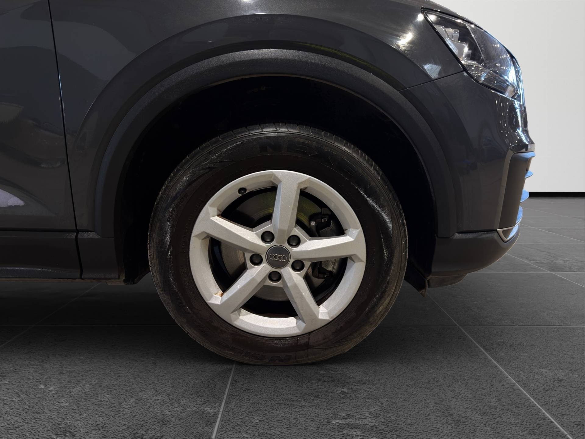 AUDI Q2 Q2 2.0 tdi Business quattro 150cv s-tronic usata in pronta consegna - Brandini