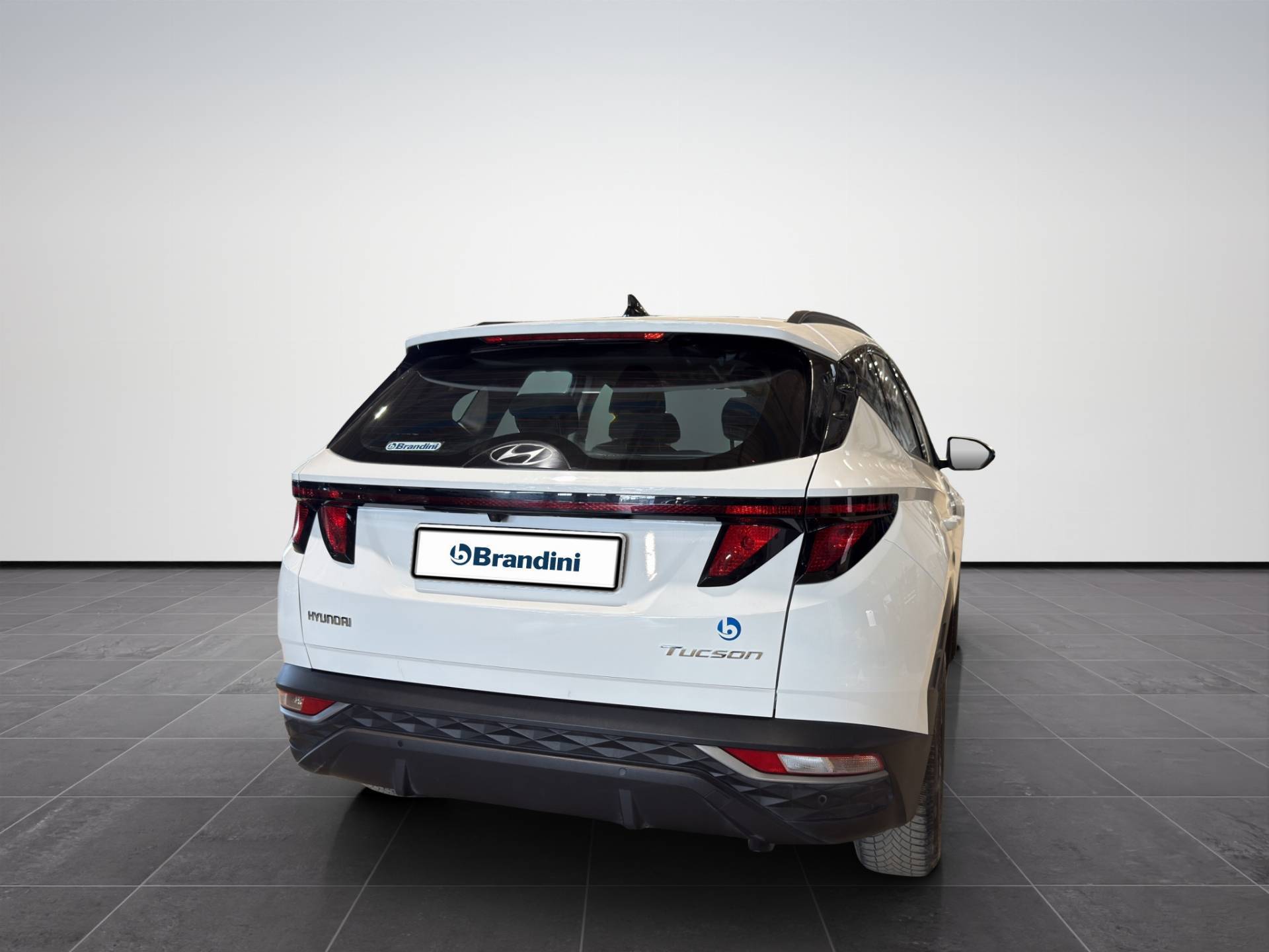 Auto Venduta - HYUNDAI Tucson Tucson 1.6 t-gdi 48V Xtech 2wd imt usata in pronta consegna - Brandini
