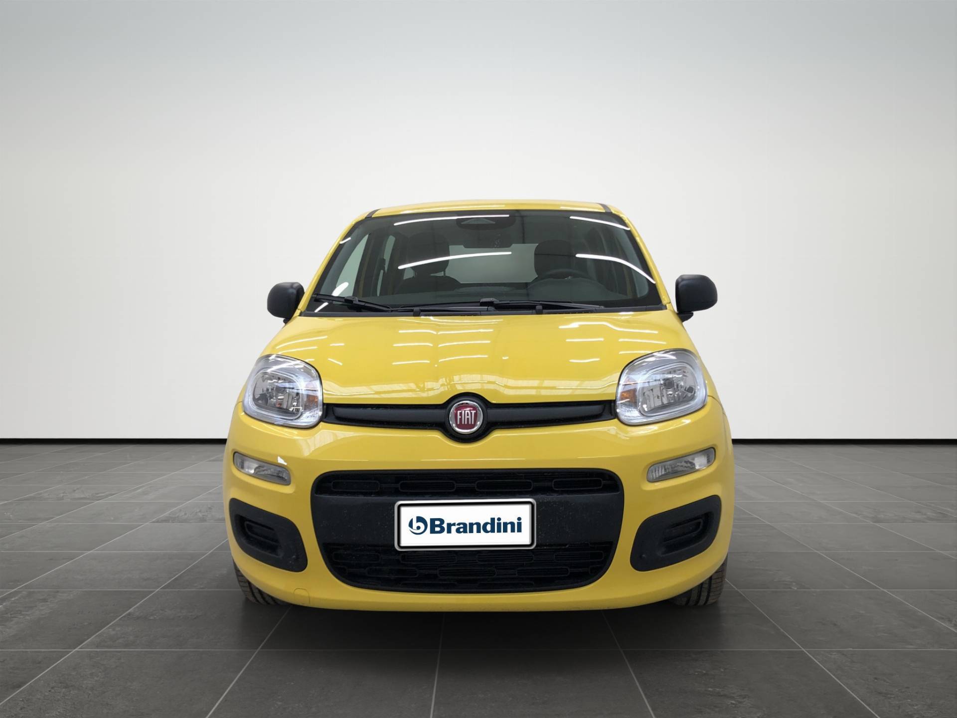 FIAT Panda Pandina 1.0 firefly hybrid Pop s&s 65cv usata in pronta consegna - Brandini