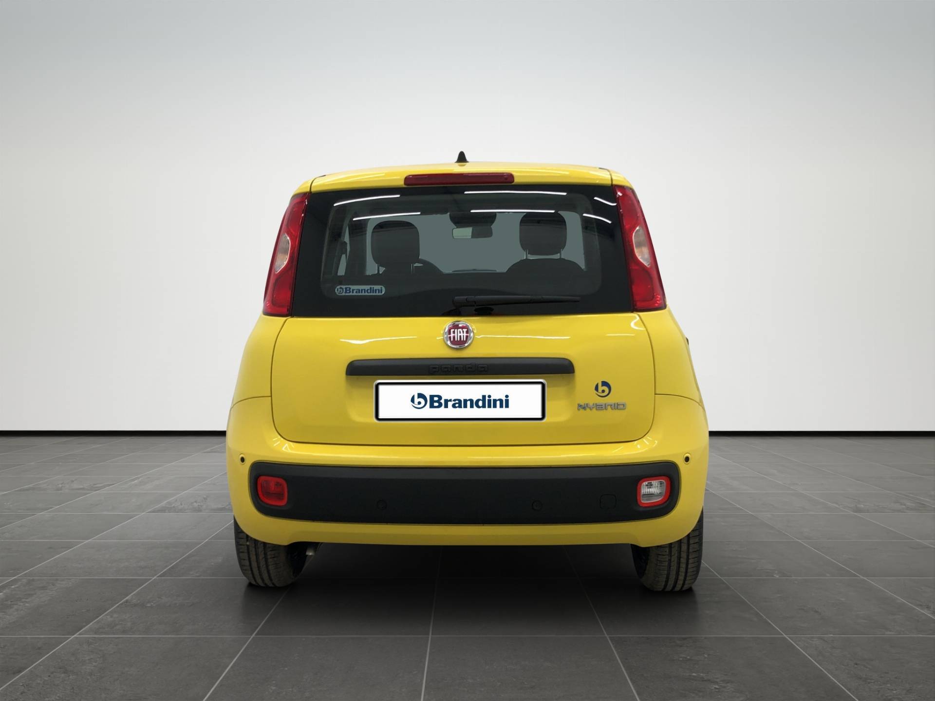 FIAT Panda Pandina 1.0 firefly hybrid Pop s&s 65cv usata in pronta consegna - Brandini