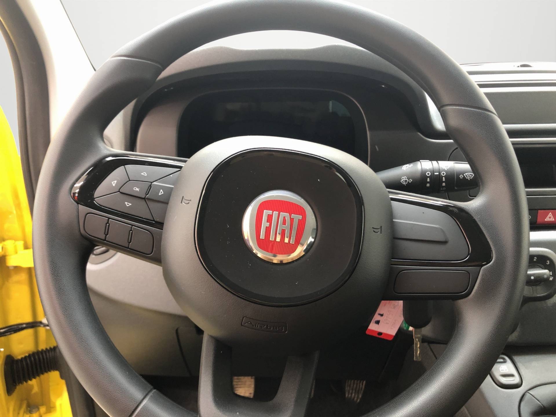 FIAT Panda Pandina 1.0 firefly hybrid Pop s&s 65cv usata in pronta consegna - Brandini