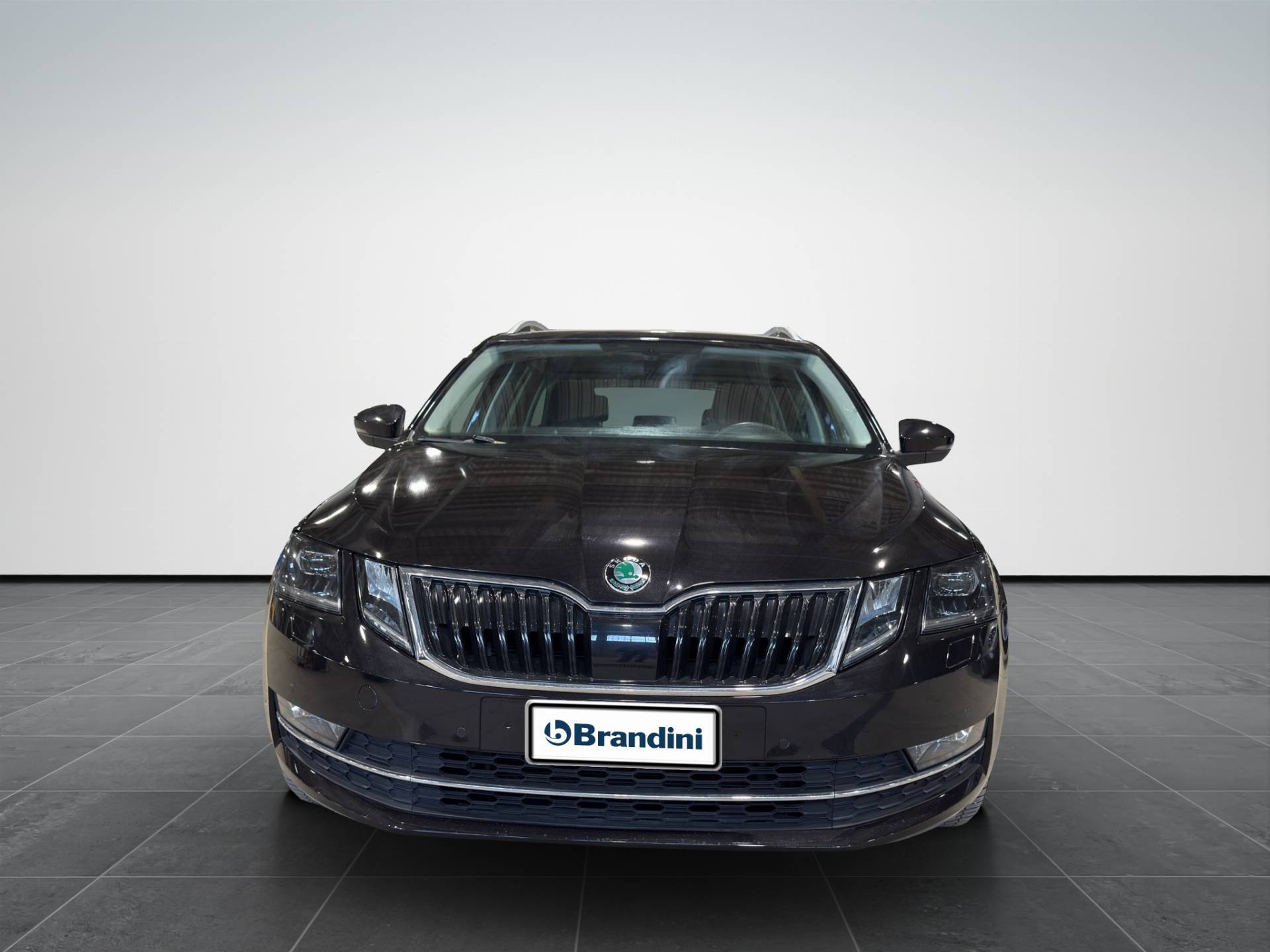 SKODA Octavia Octavia Wagon 1.5 g-tec Executive 130cv dsg usata in pronta consegna - Brandini