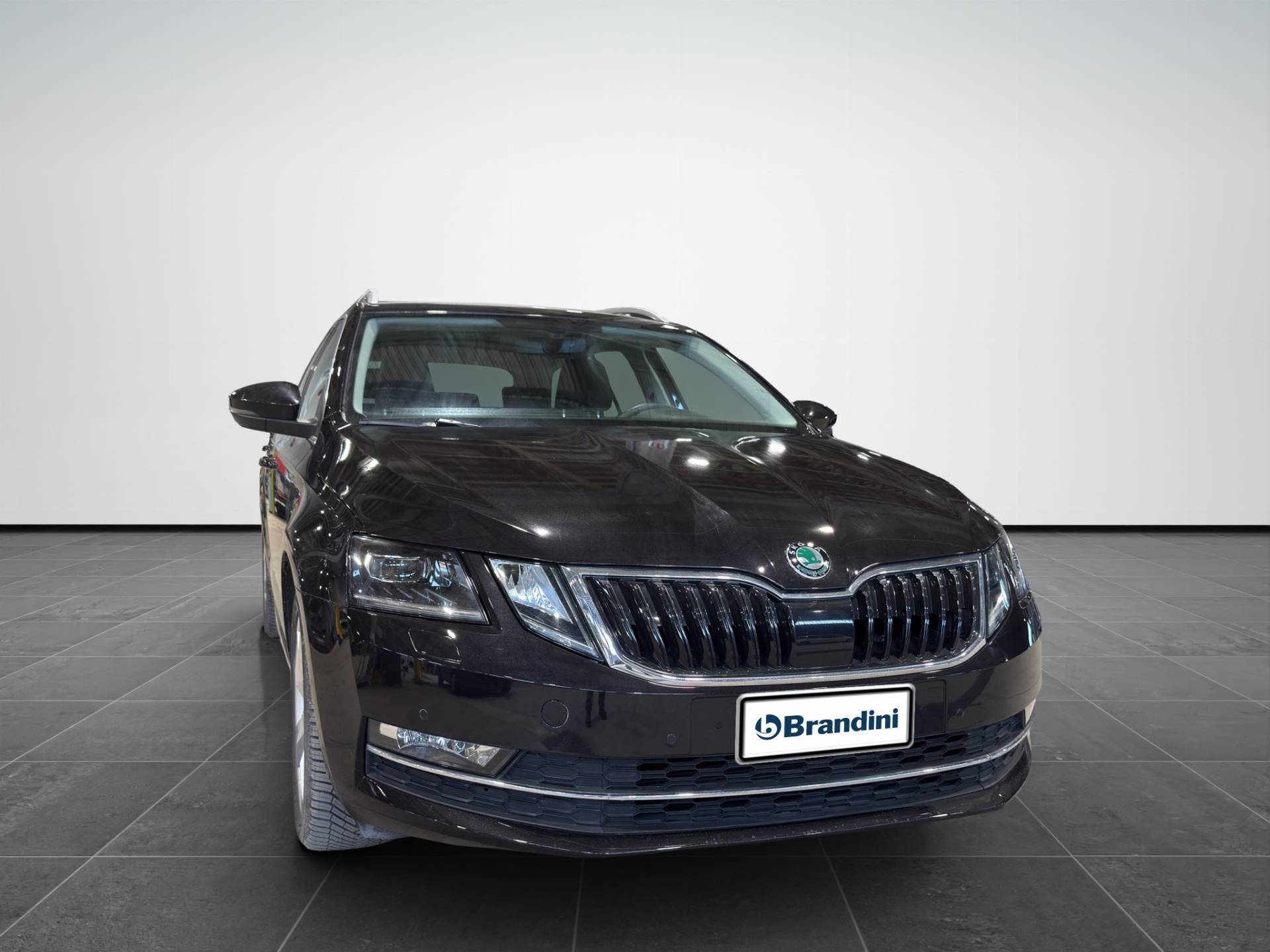 SKODA Octavia Octavia Wagon 1.5 g-tec Executive 130cv dsg usata in pronta consegna - Brandini