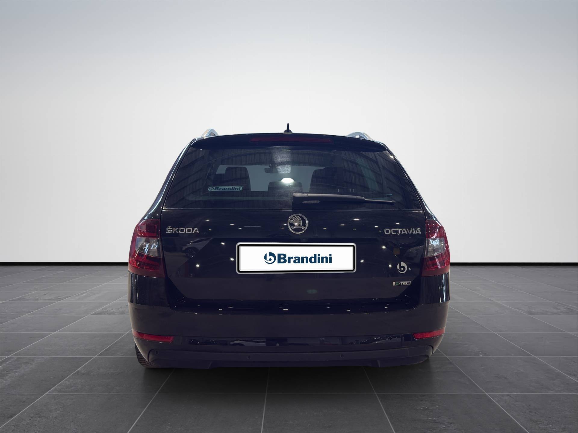 SKODA Octavia Octavia Wagon 1.5 g-tec Executive 130cv dsg usata in pronta consegna - Brandini