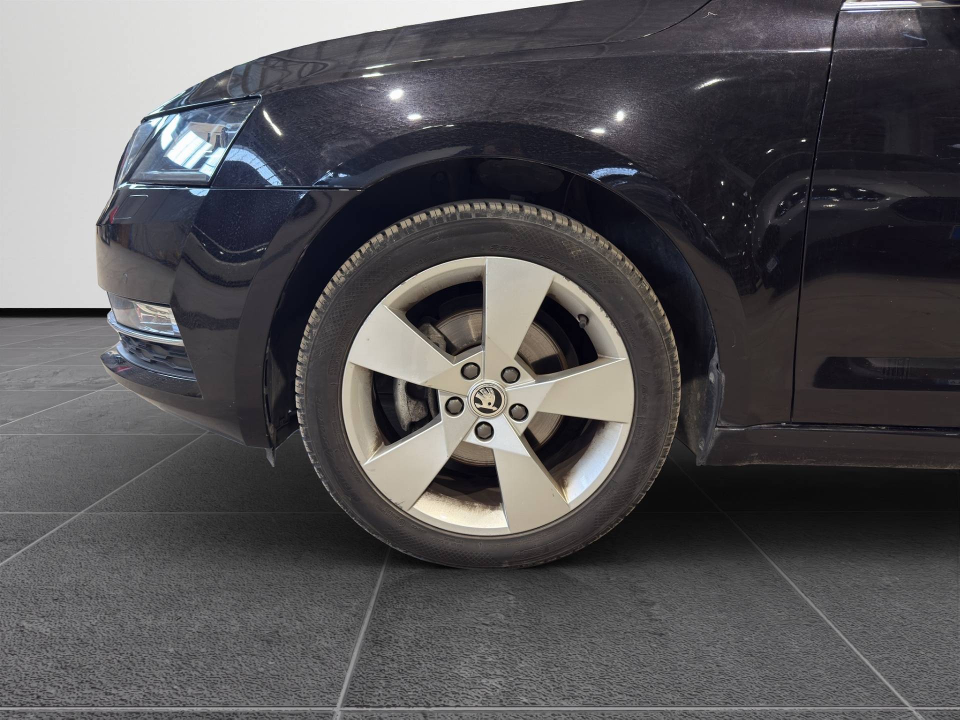 SKODA Octavia Octavia Wagon 1.5 g-tec Executive 130cv dsg usata in pronta consegna - Brandini