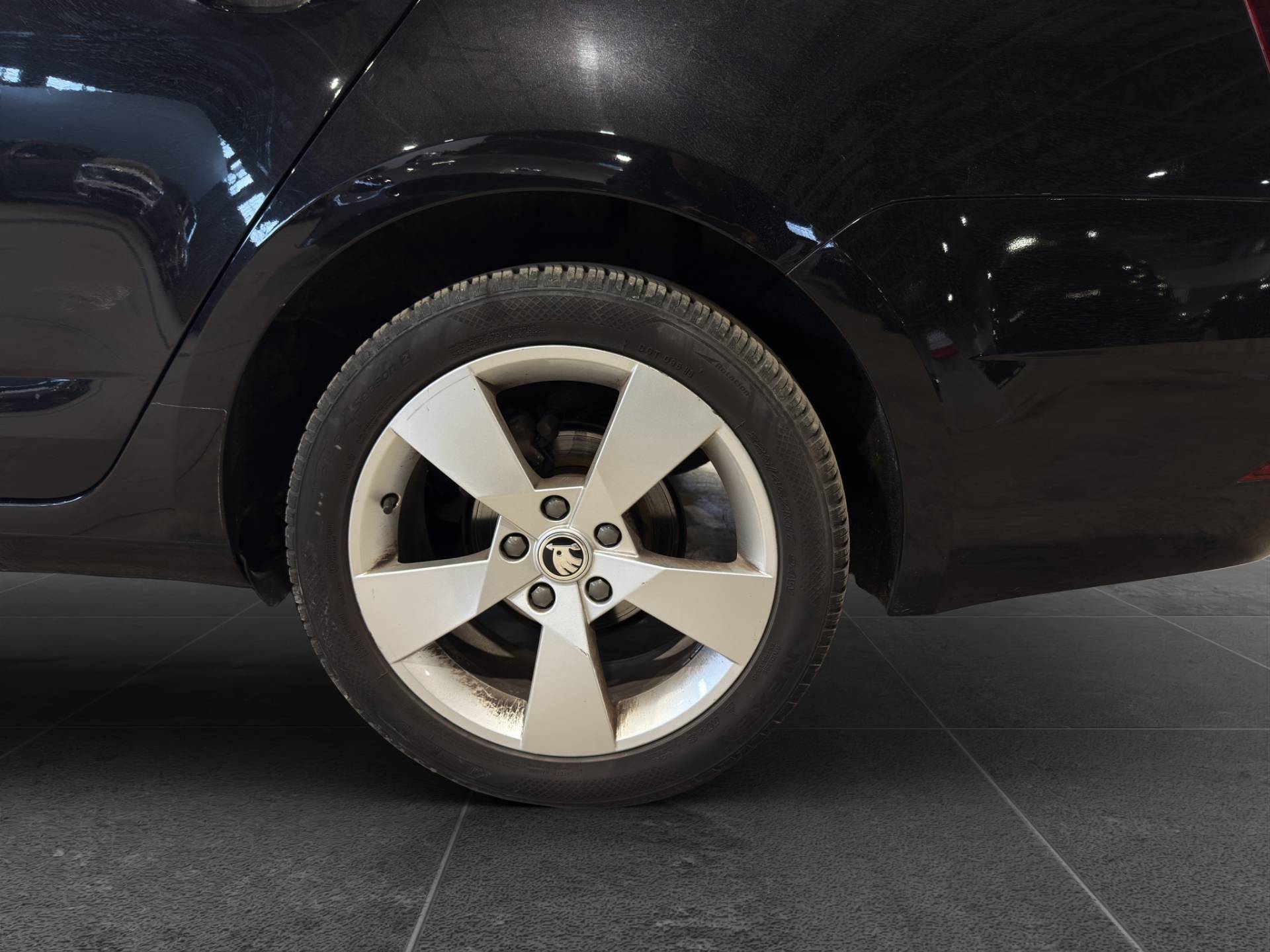 SKODA Octavia Octavia Wagon 1.5 g-tec Executive 130cv dsg usata in pronta consegna - Brandini