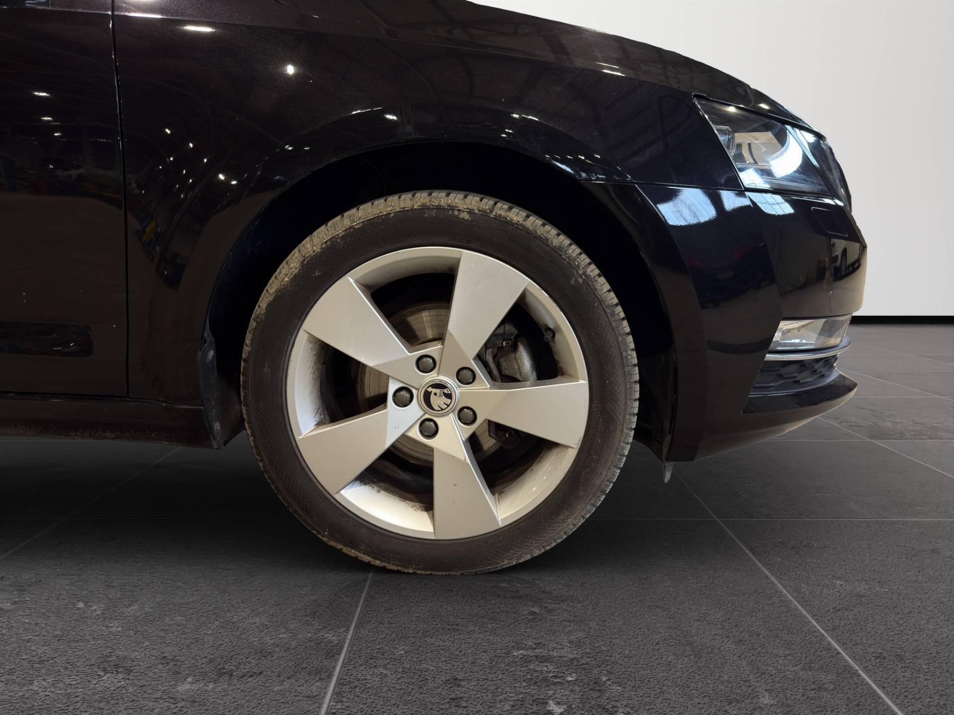 SKODA Octavia Octavia Wagon 1.5 g-tec Executive 130cv dsg usata in pronta consegna - Brandini