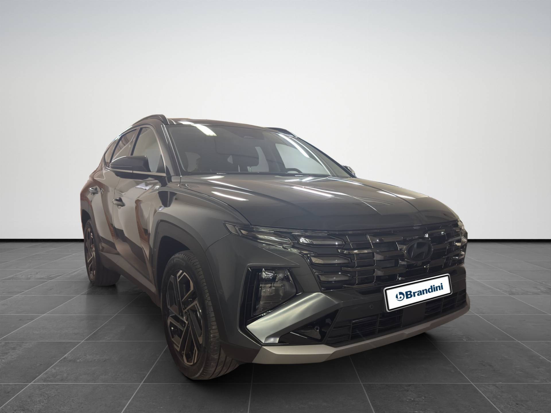 Auto Venduta - HYUNDAI Tucson TUCSON PE 1.6 HEV AT 4WD Exellence +LP+PP usata in pronta consegna - Brandini