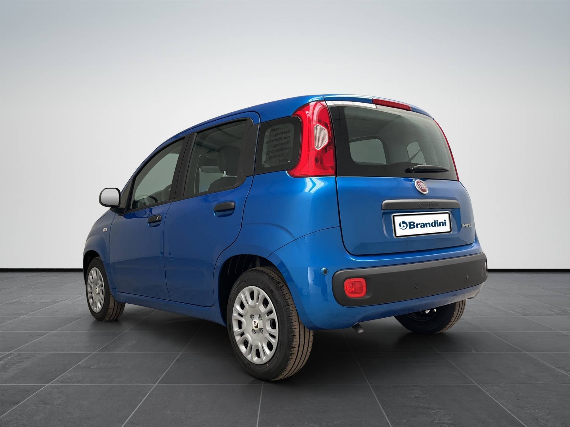 FIAT Panda Pandina 1.0 firefly hybrid Pop s&s 65cv usata in pronta consegna - Brandini
