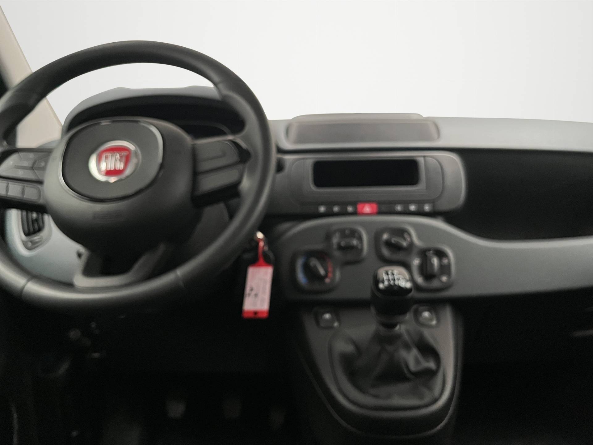 FIAT Panda Pandina 1.0 firefly hybrid Pop s&s 65cv usata in pronta consegna - Brandini