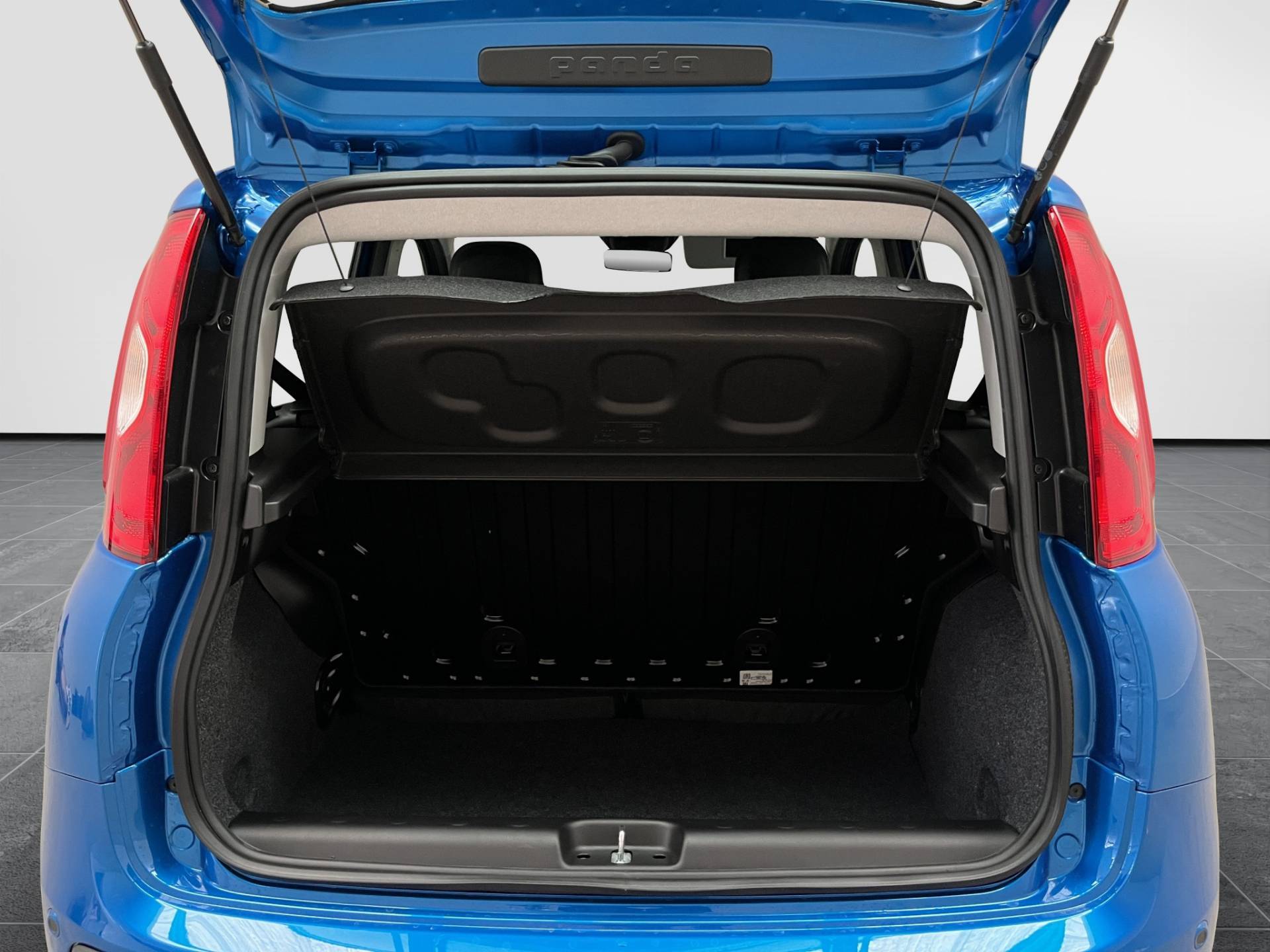 FIAT Panda Pandina 1.0 firefly hybrid Pop s&s 65cv usata in pronta consegna - Brandini