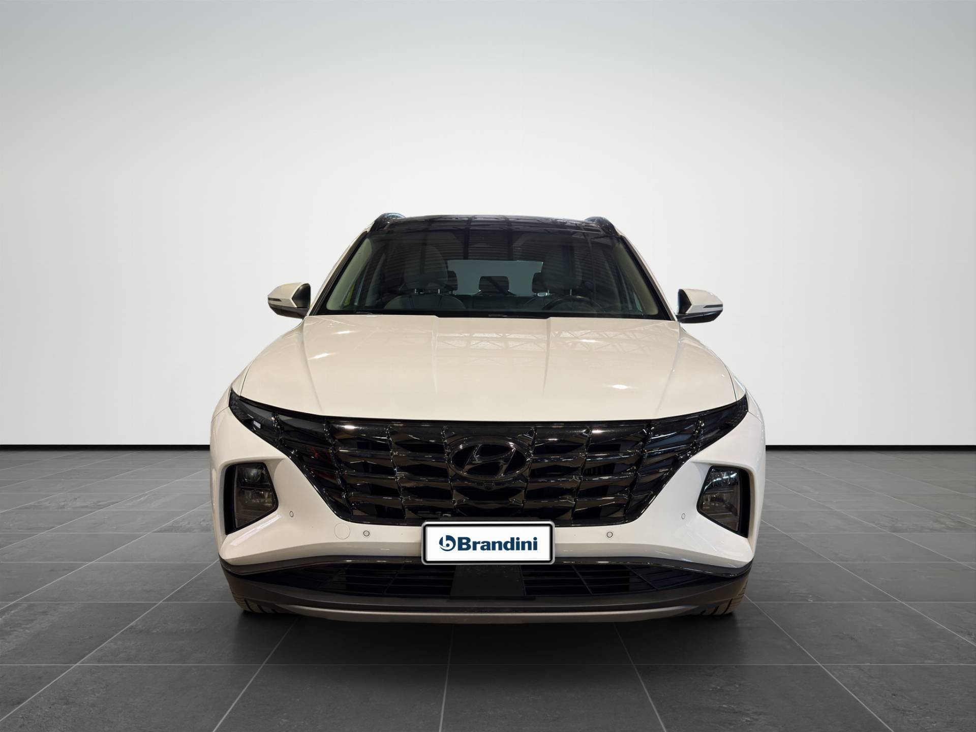 Auto Venduta - HYUNDAI Tucson Tucson 1.6 hev Exellence 4wd auto usata in pronta consegna - Brandini