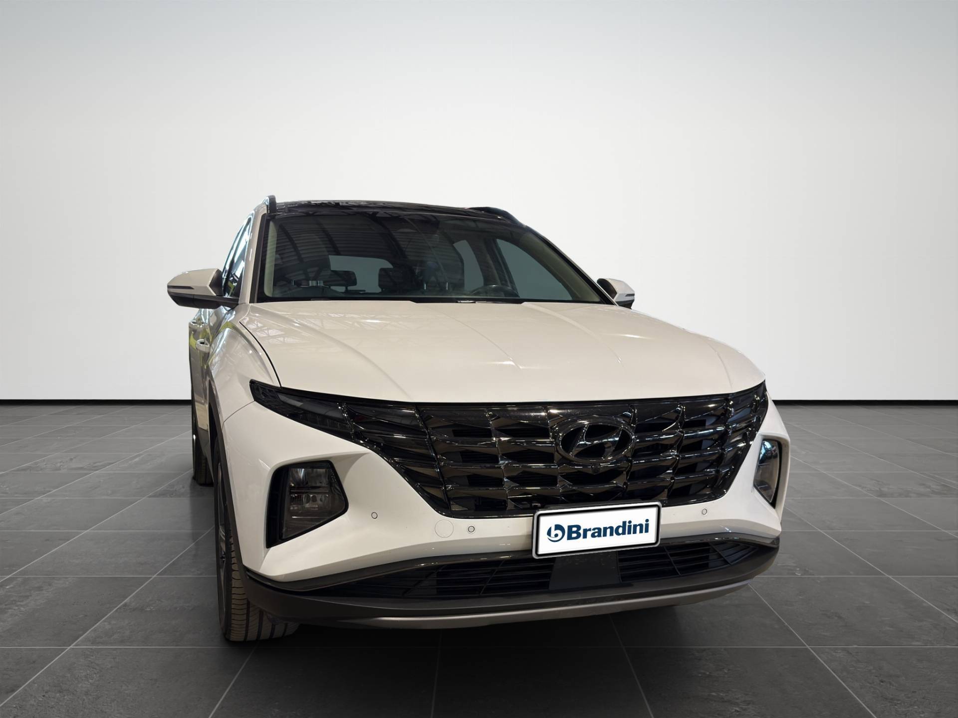Auto Venduta - HYUNDAI Tucson Tucson 1.6 hev Exellence 4wd auto usata in pronta consegna - Brandini