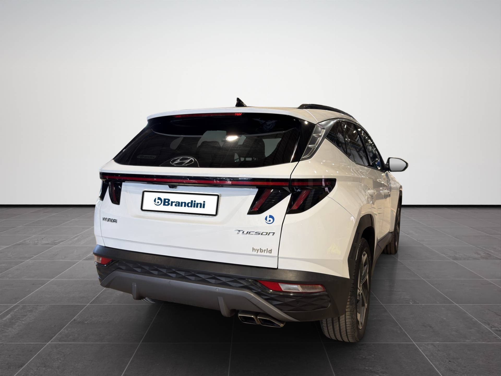 Auto Venduta - HYUNDAI Tucson Tucson 1.6 hev Exellence 4wd auto usata in pronta consegna - Brandini