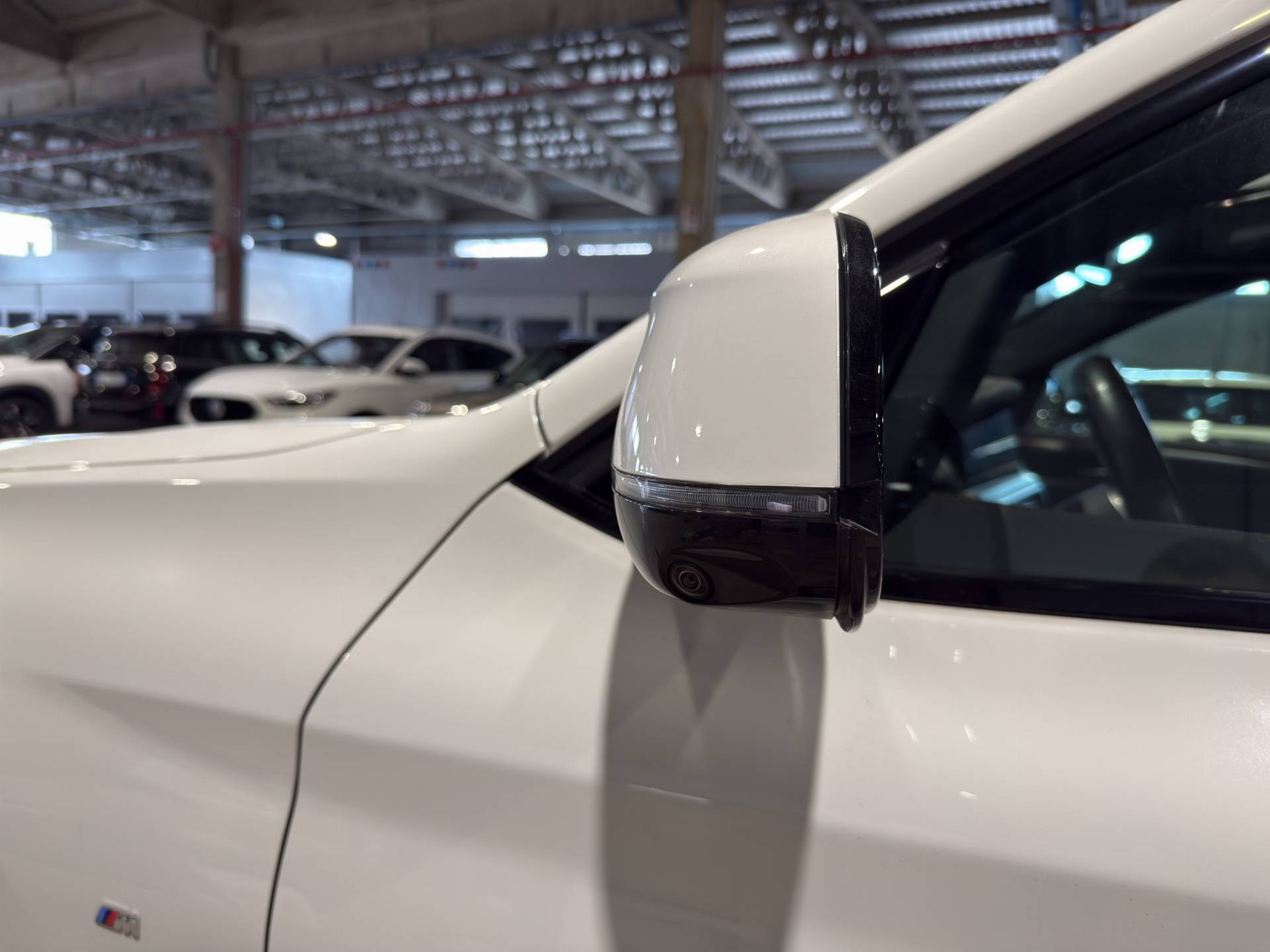 BMW X4 X4 xdrive30d mhev 48V Msport 249cv auto usata in pronta consegna - Brandini