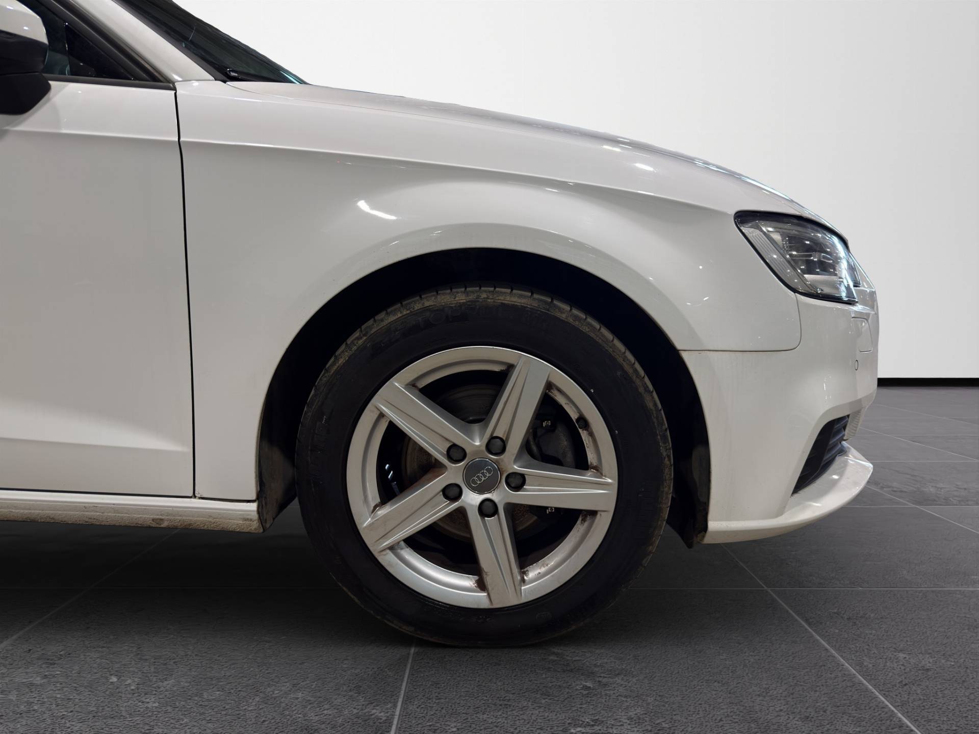 AUDI A3 A3 Sportback 30 1.6 tdi Business 116cv usata in pronta consegna - Brandini