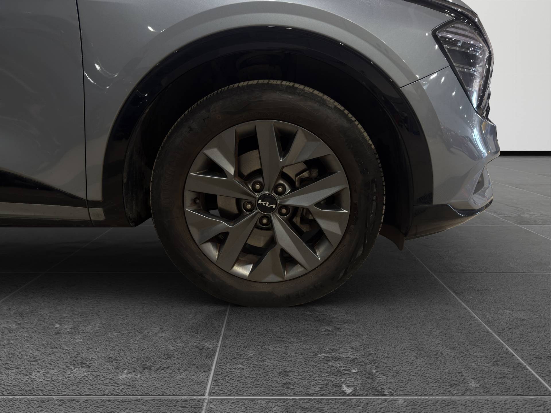 KIA Sportage Sportage 1.6 tgdi hev GT-line at usata in pronta consegna - Brandini