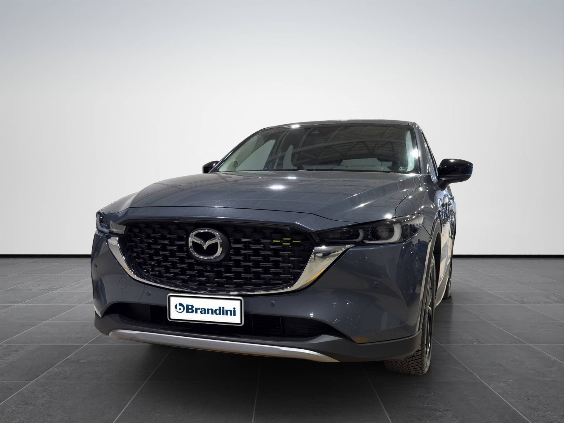 Auto Venduta - MAZDA CX-5 CX-5 2.2 Newground  2wd 150cv usata in pronta consegna - Brandini