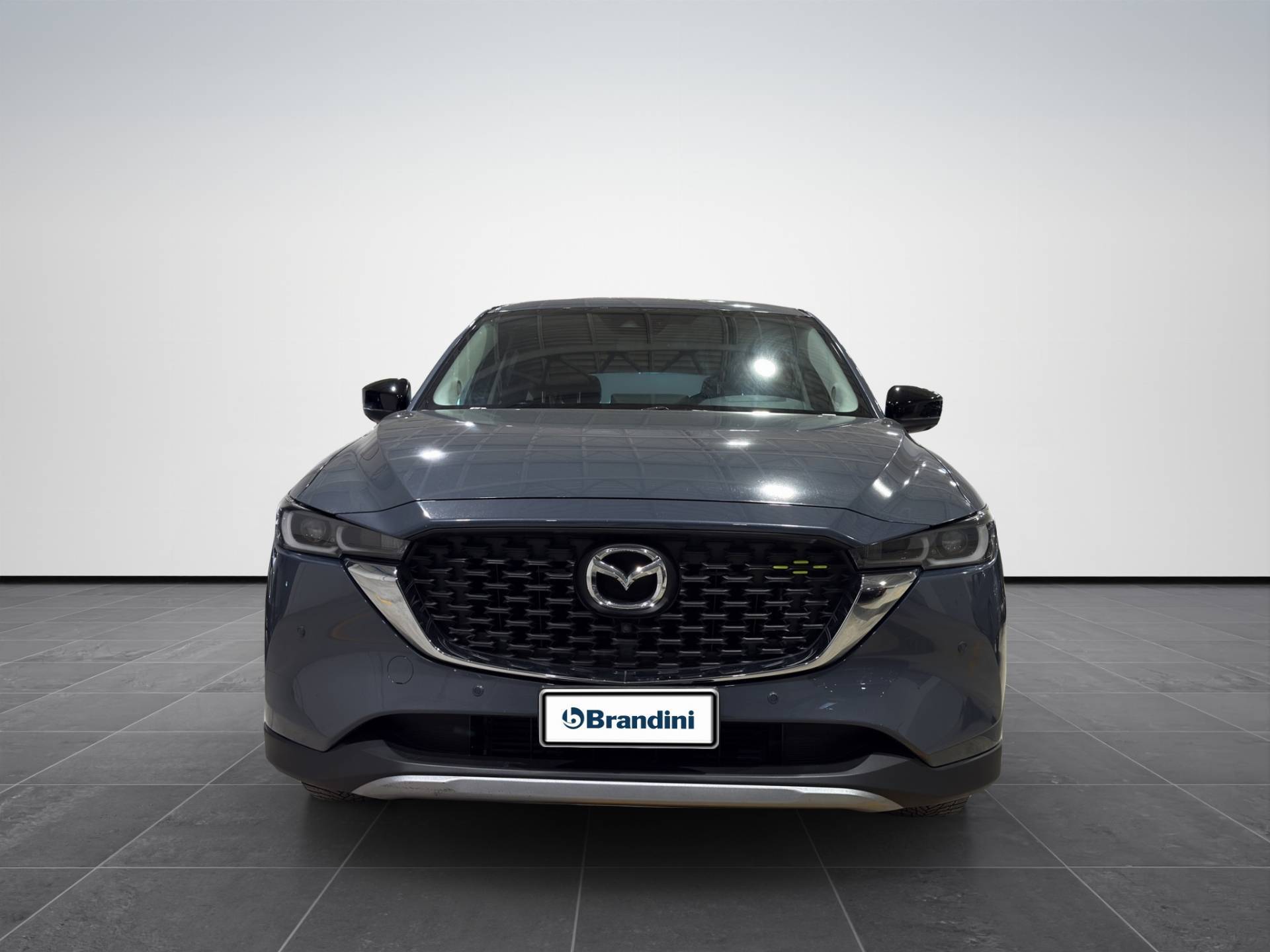 Auto Venduta - MAZDA CX-5 CX-5 2.2 Newground  2wd 150cv usata in pronta consegna - Brandini