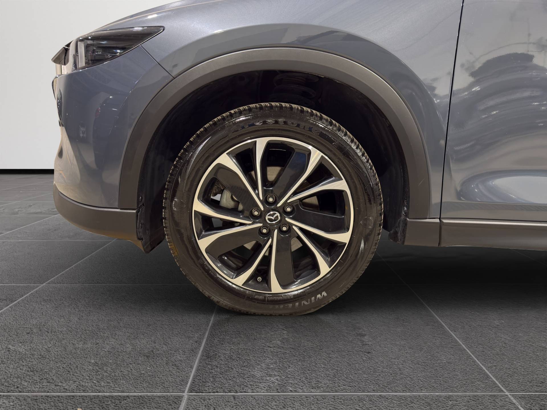Auto Venduta - MAZDA CX-5 CX-5 2.2 Newground  2wd 150cv usata in pronta consegna - Brandini